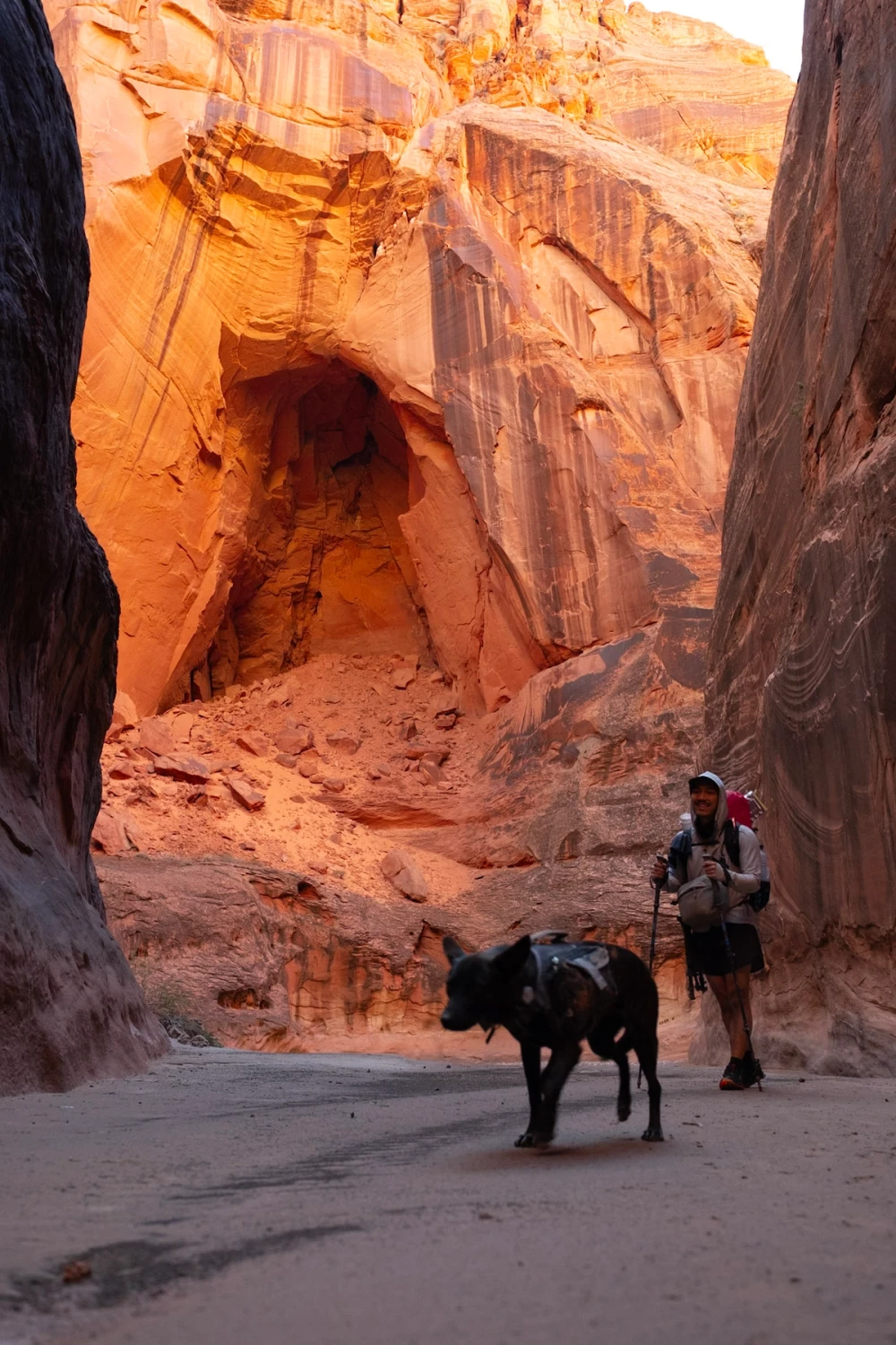 A woman and dog walking past a towering orange sandstone amphitheater wall