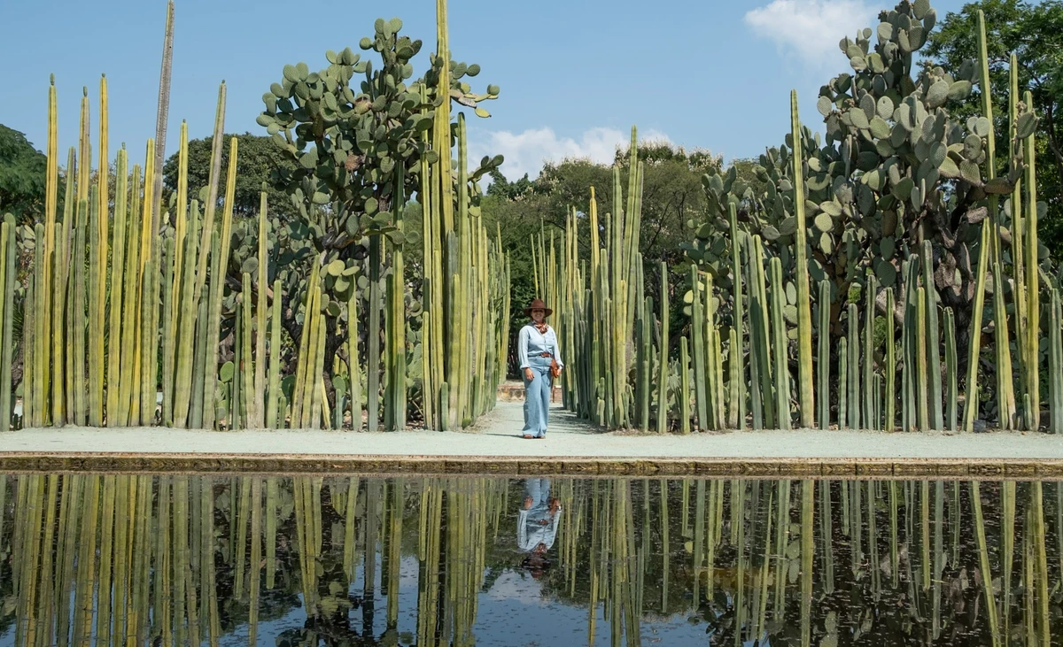 Rows of tall organ-pipe cactus and prickly pear mirrored perfectly in a still reflecting pool, a lone figure on the path beyond