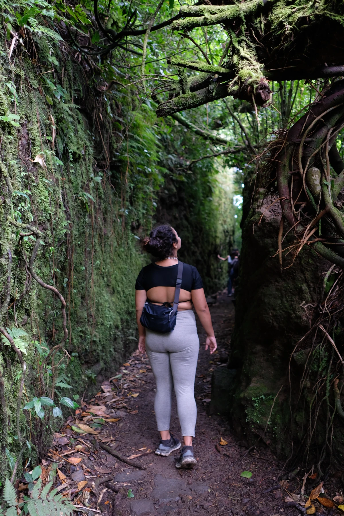 A hiker standing on a narrow forest trail, dwarfed by trees draped in moss and epiphytes in the Mombacho cloud forest