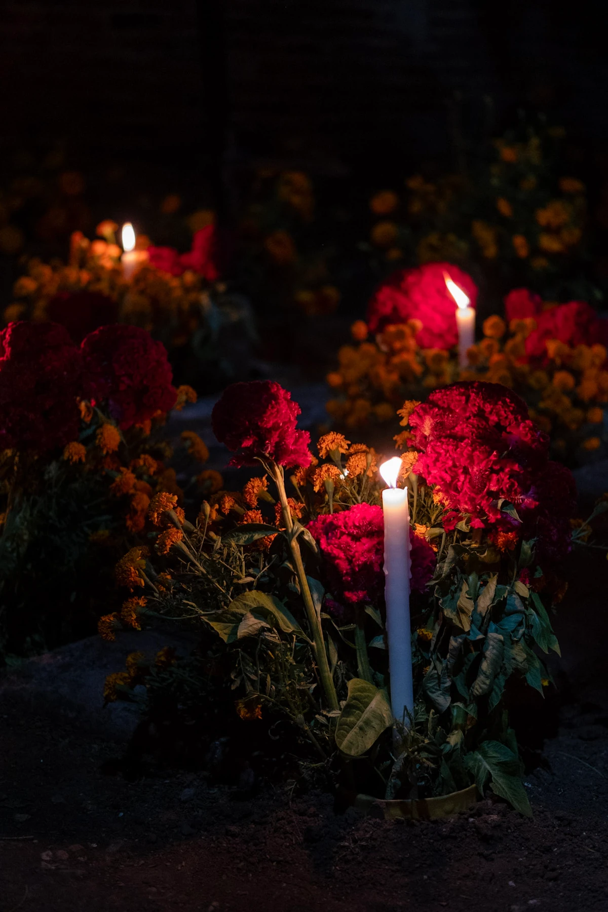 White candles burning low among mounds of red cockscomb and orange marigolds on graves in a dark cemetery at night
