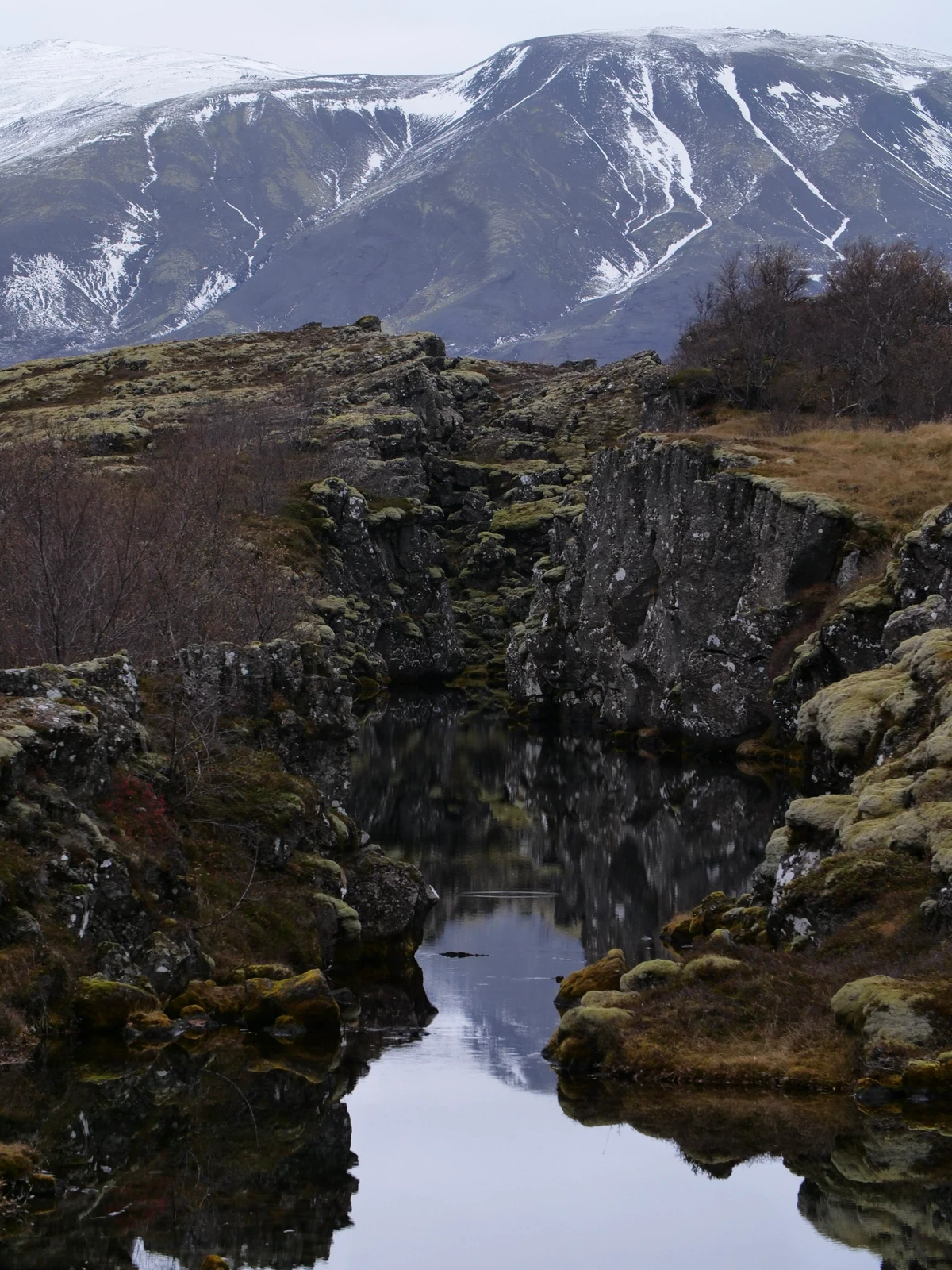 A clear, still pool in a mossy volcanic rift at Þingvellir with a snow-capped mountain behind