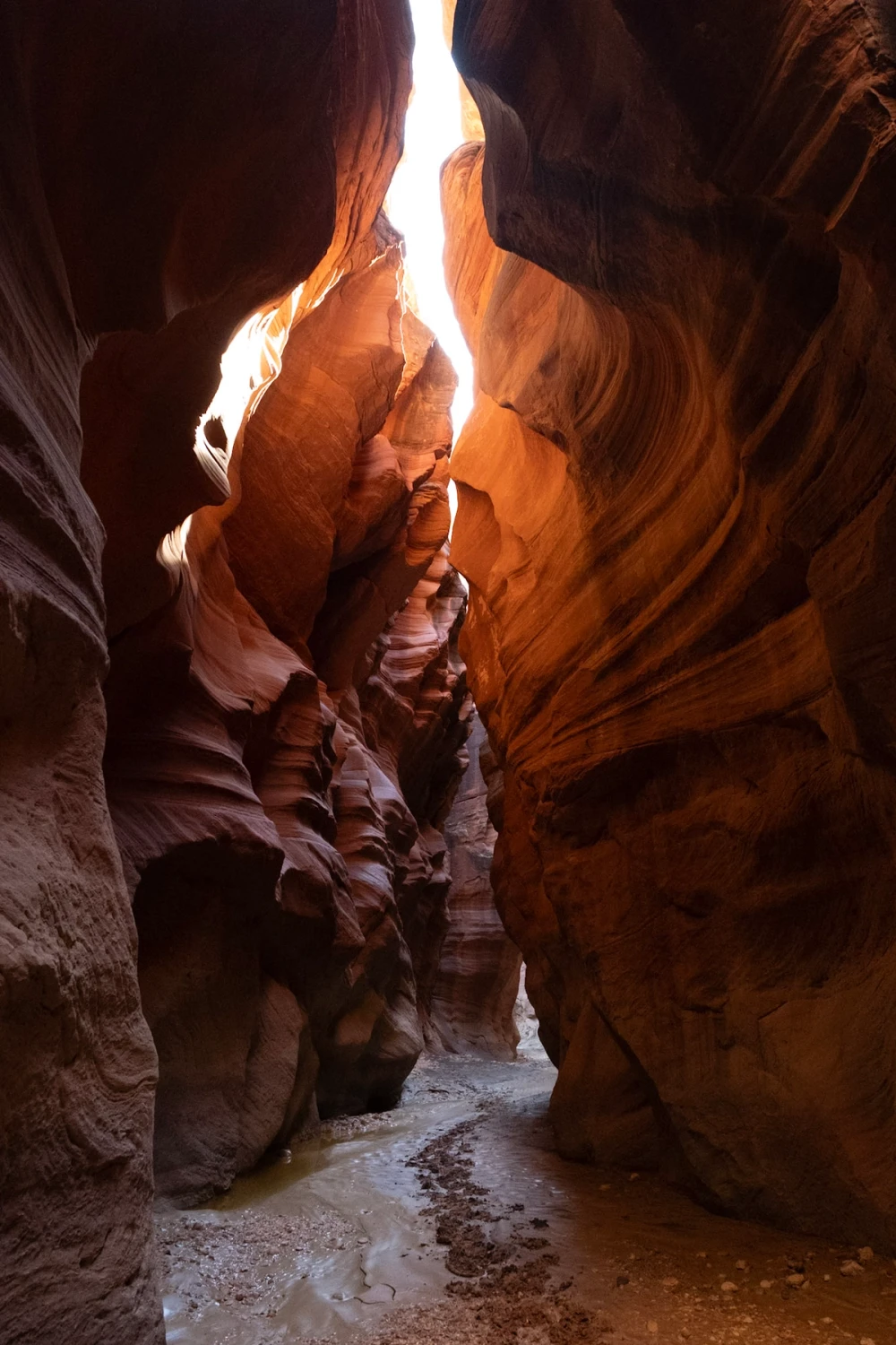 A shaft of daylight falling into a narrow red sandstone corridor in Wire Pass