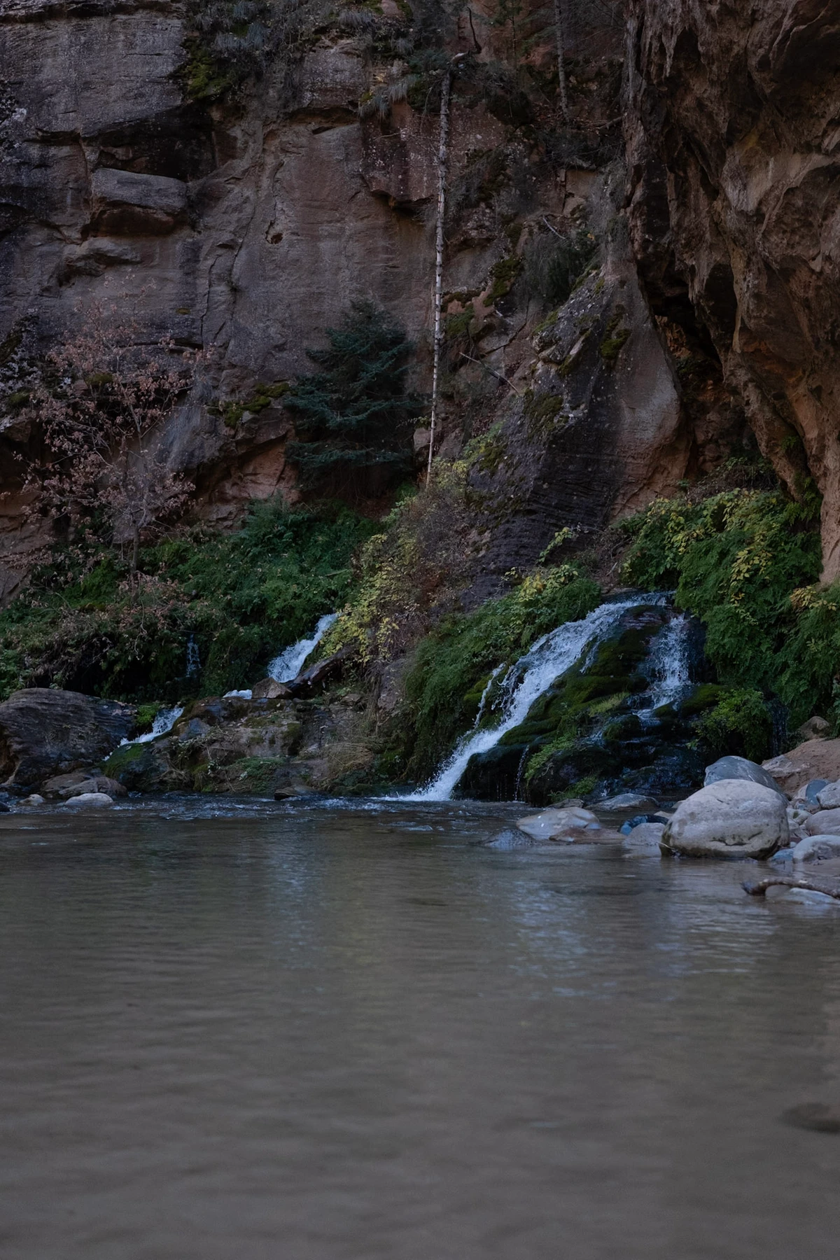 Small waterfalls running over a mossy rock face in soft morning light
