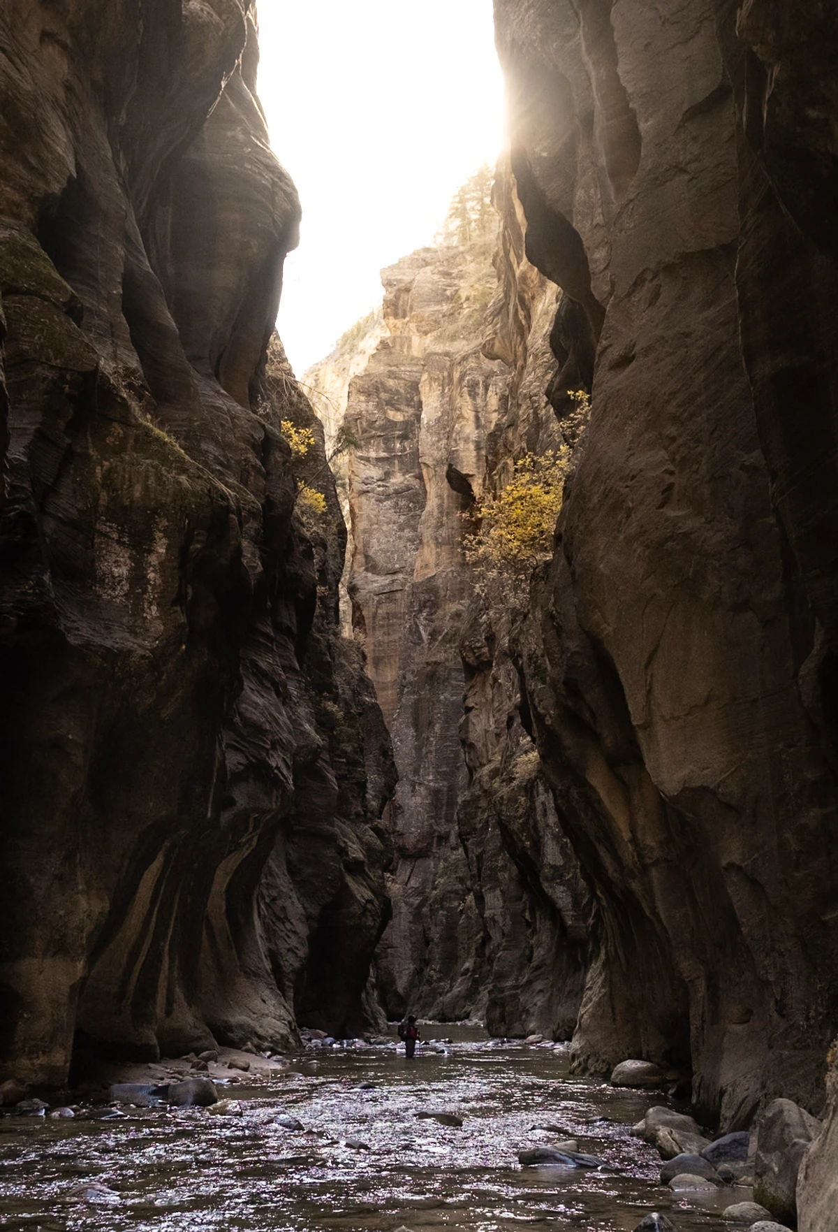 Sunlight flooding down between sheer canyon walls onto a hiker in the river