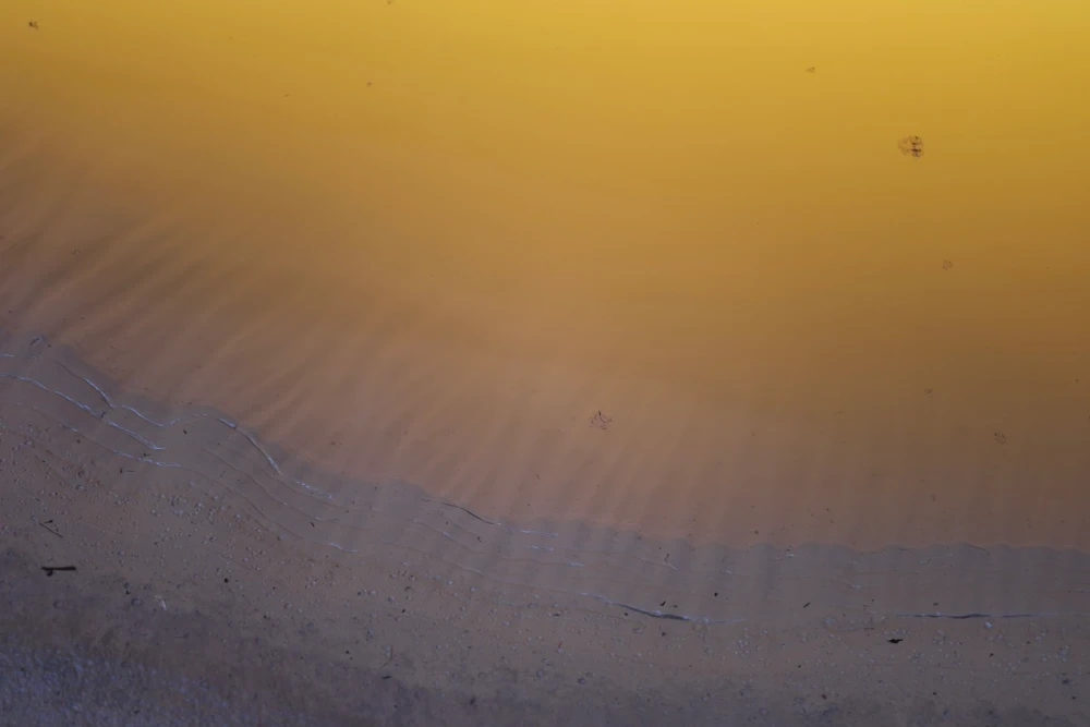 Ripples spreading across the surface of golden, silt-heavy water