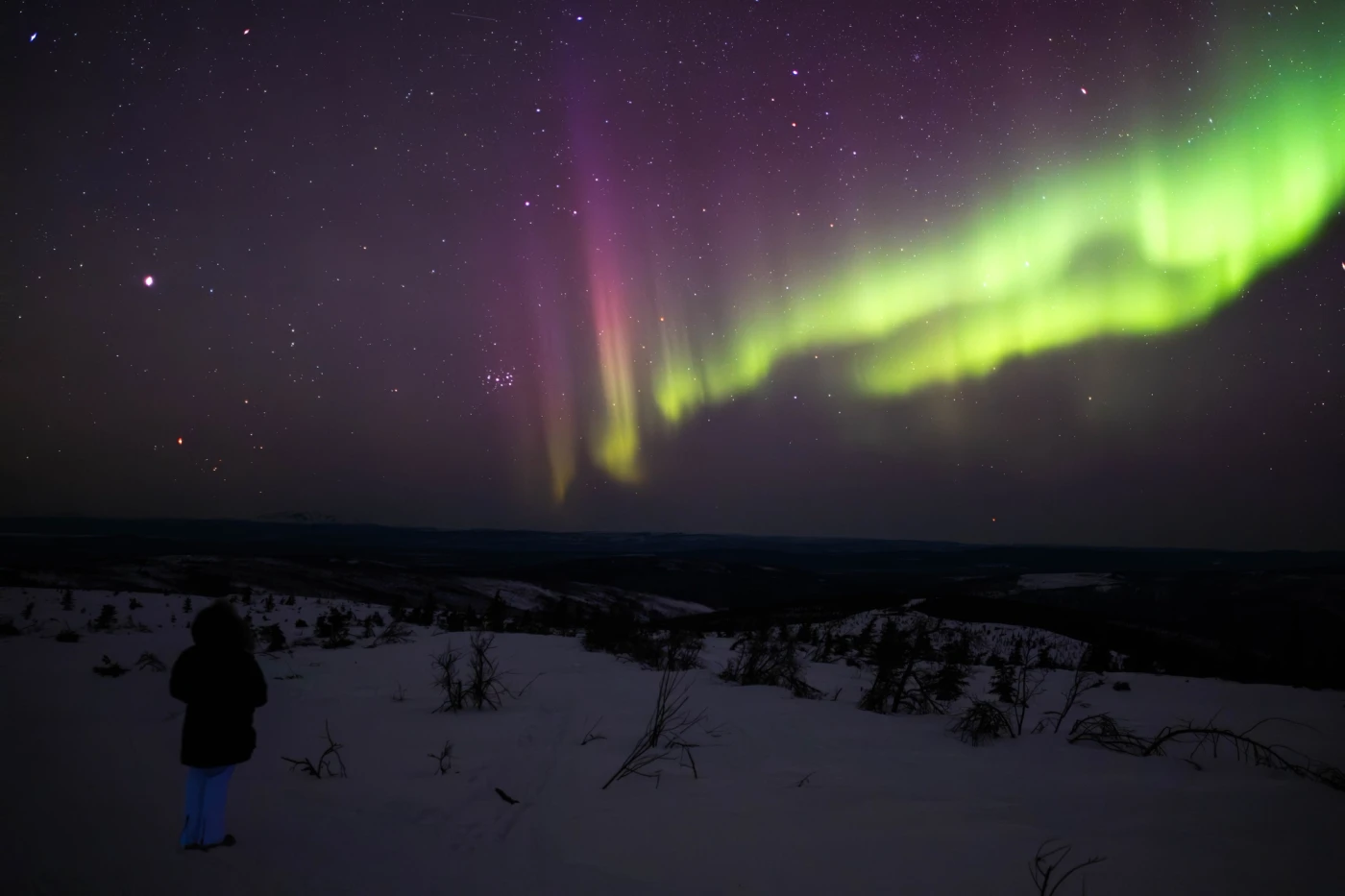 A lone figure watching a green and magenta aurora over a vast snow-covered Alaskan valley under the stars