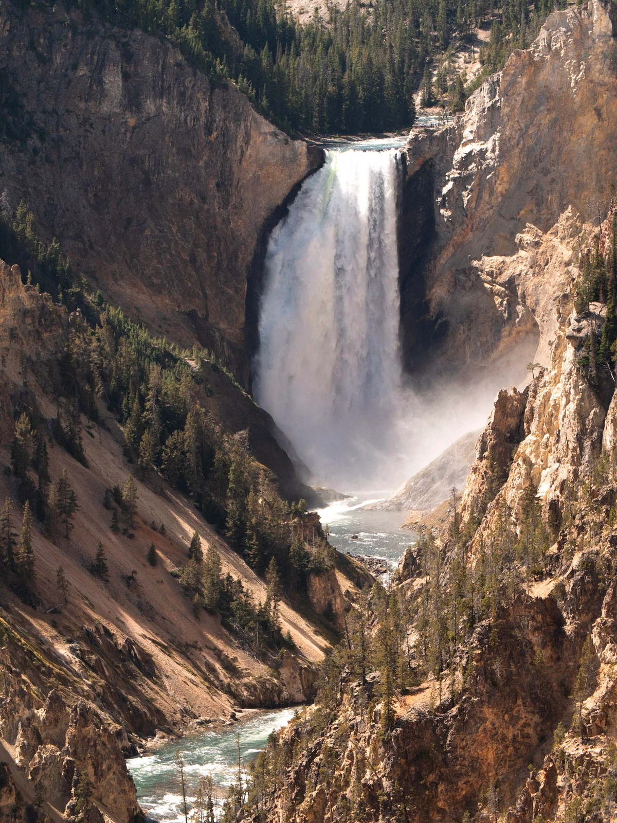 The Lower Falls of the Yellowstone River plunging into a deep canyon of pale yellow and tan rock