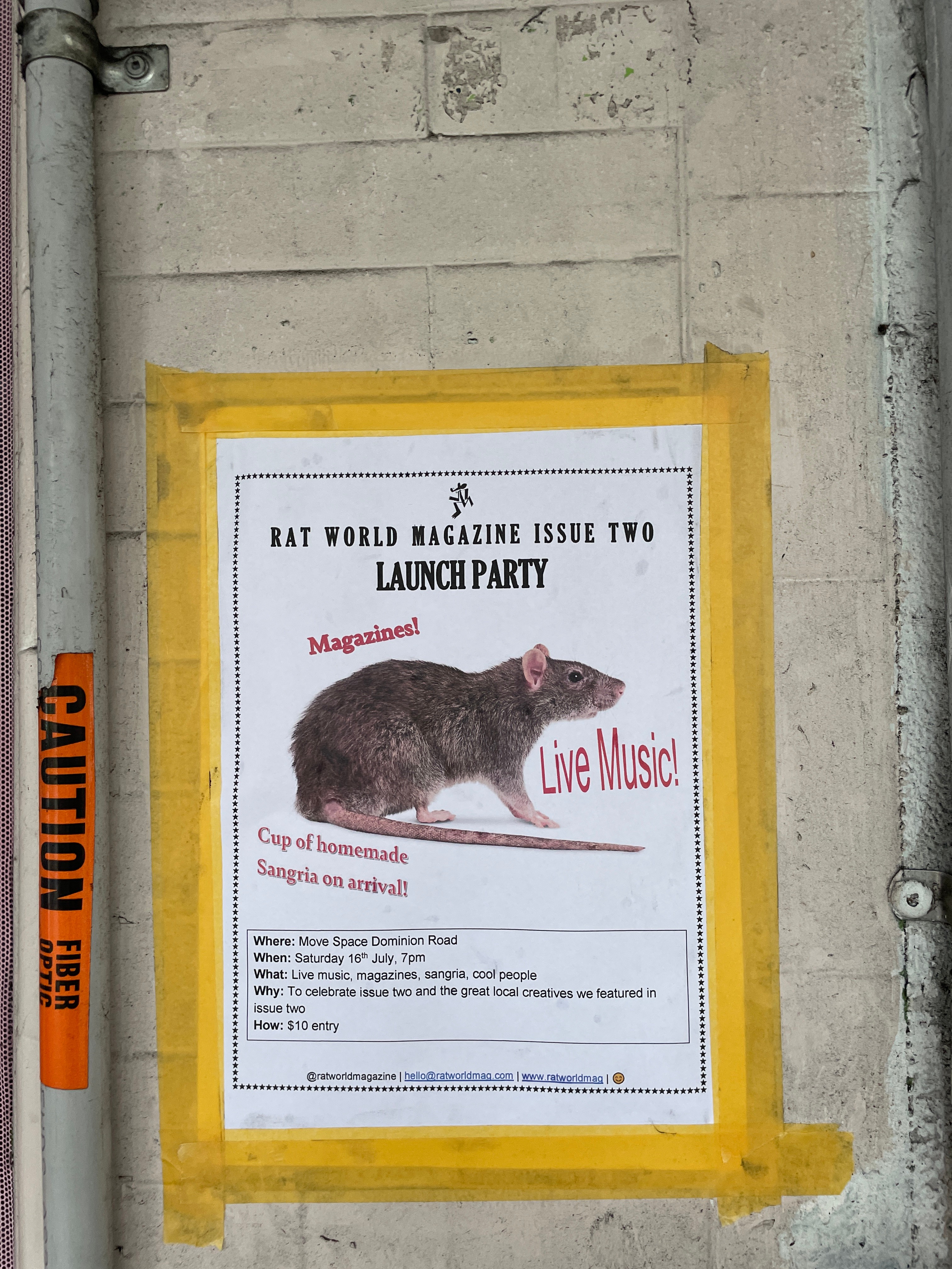 An A4 poster with a photo of a rat is taped to a concrete wall.