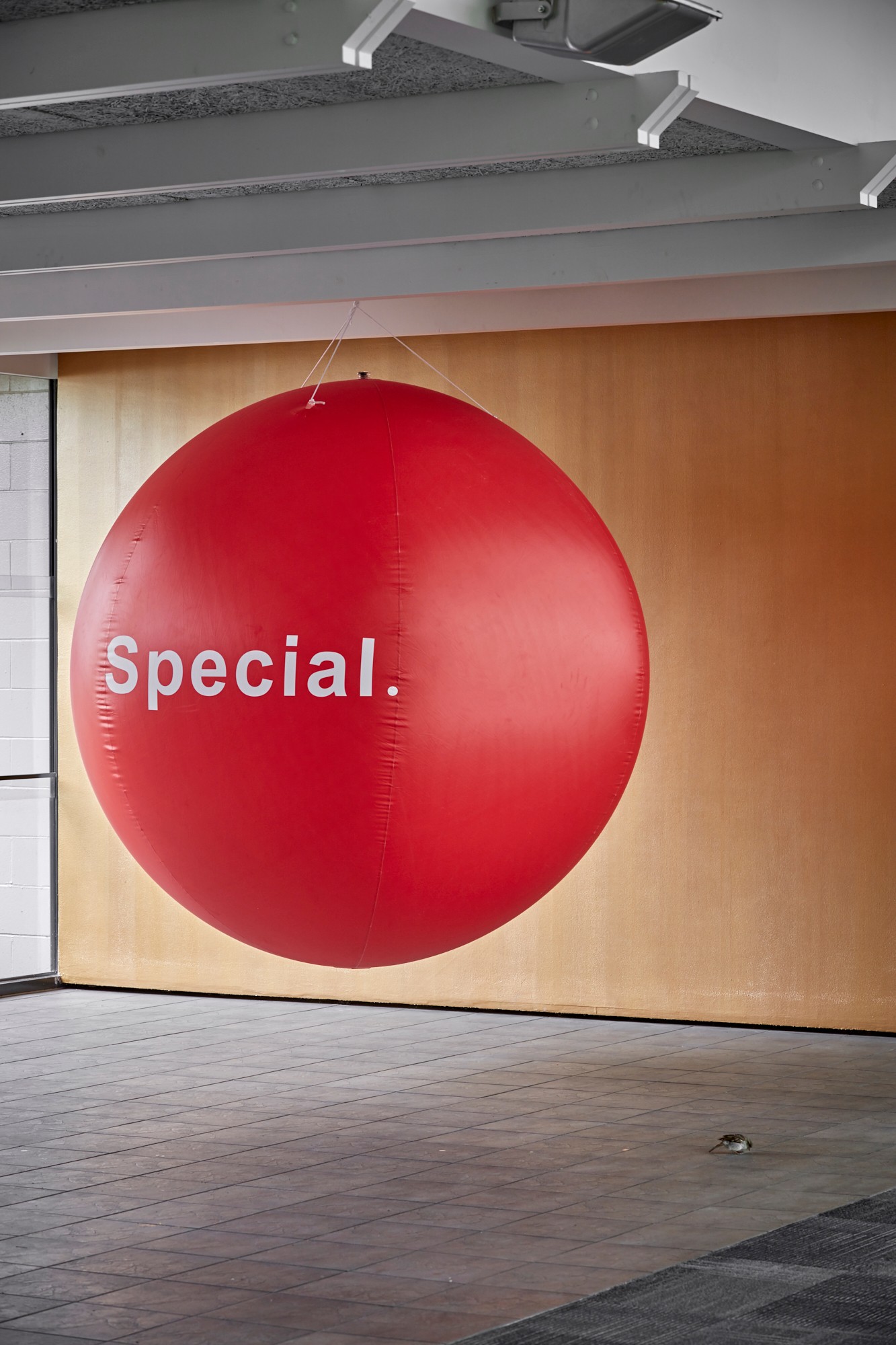 Photograph of a round inflatable ball hung from the ceiling of a room with the word 'Special.' printed on it in white text.