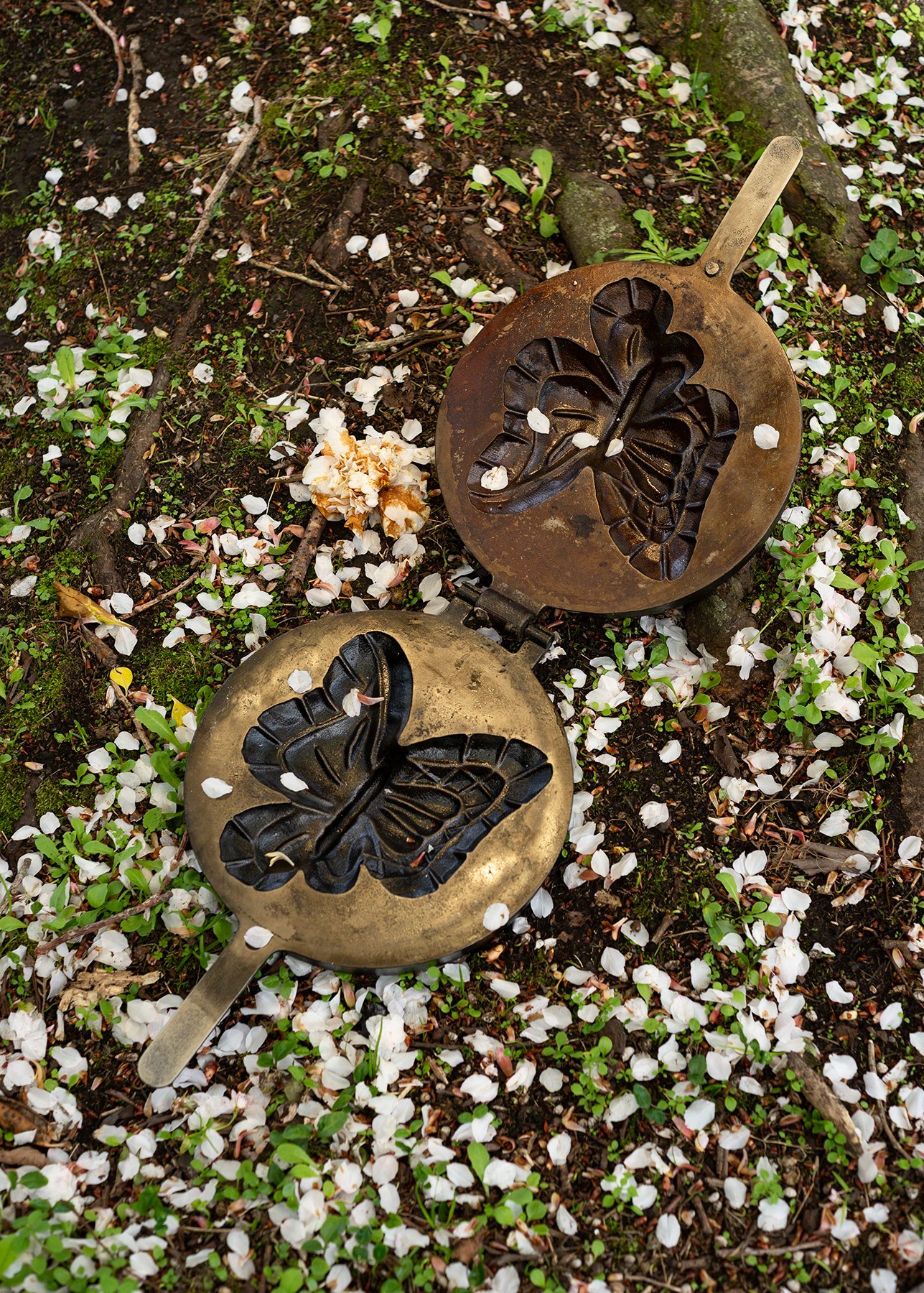 A bronze butterfly mould resting on a ground surrounded by fallen flowers