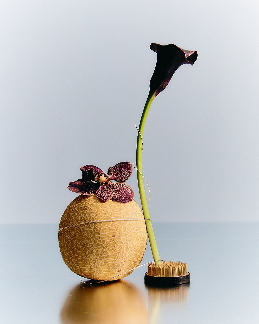 A lily in a ikebana turtle next to a honeydew