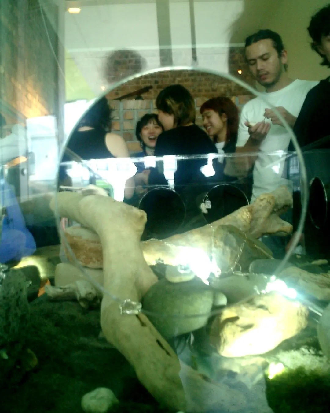 people chatting around a large reptile terrarium box which has silver rings lying on a tree branch