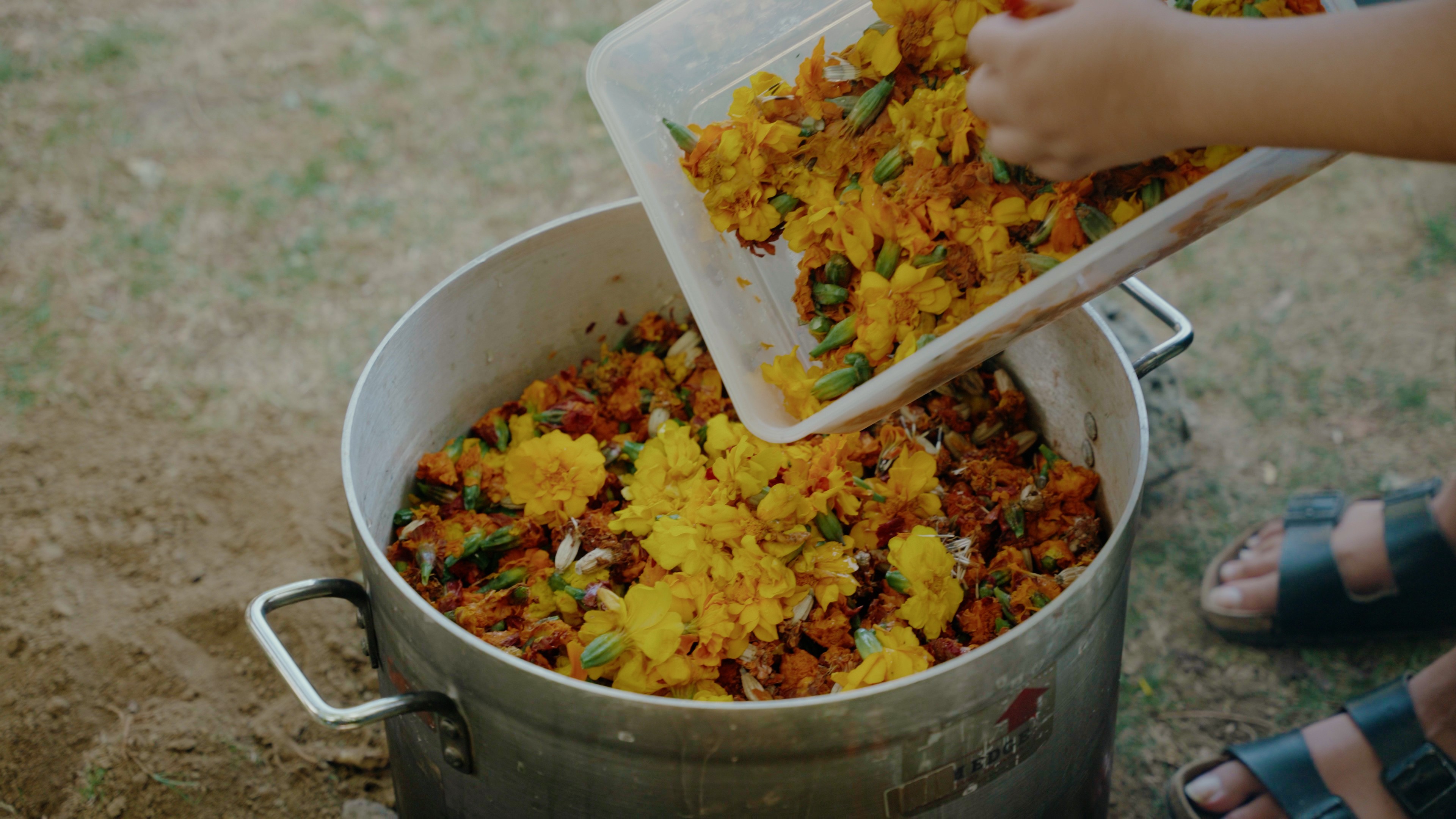 A cooking pot full of flowers