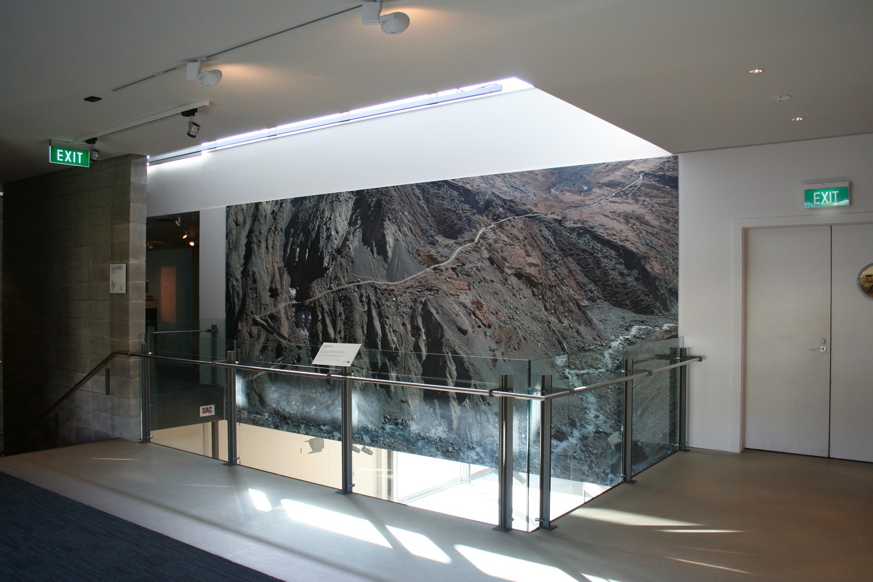 A large photograph of tree roots sits above a stairwell with a glass banister.