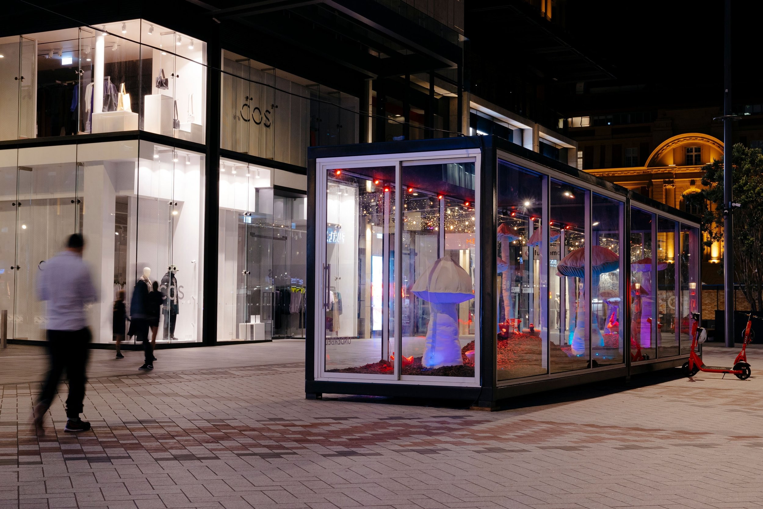 A shipping container made of glass containing large mushrooms made of fabric