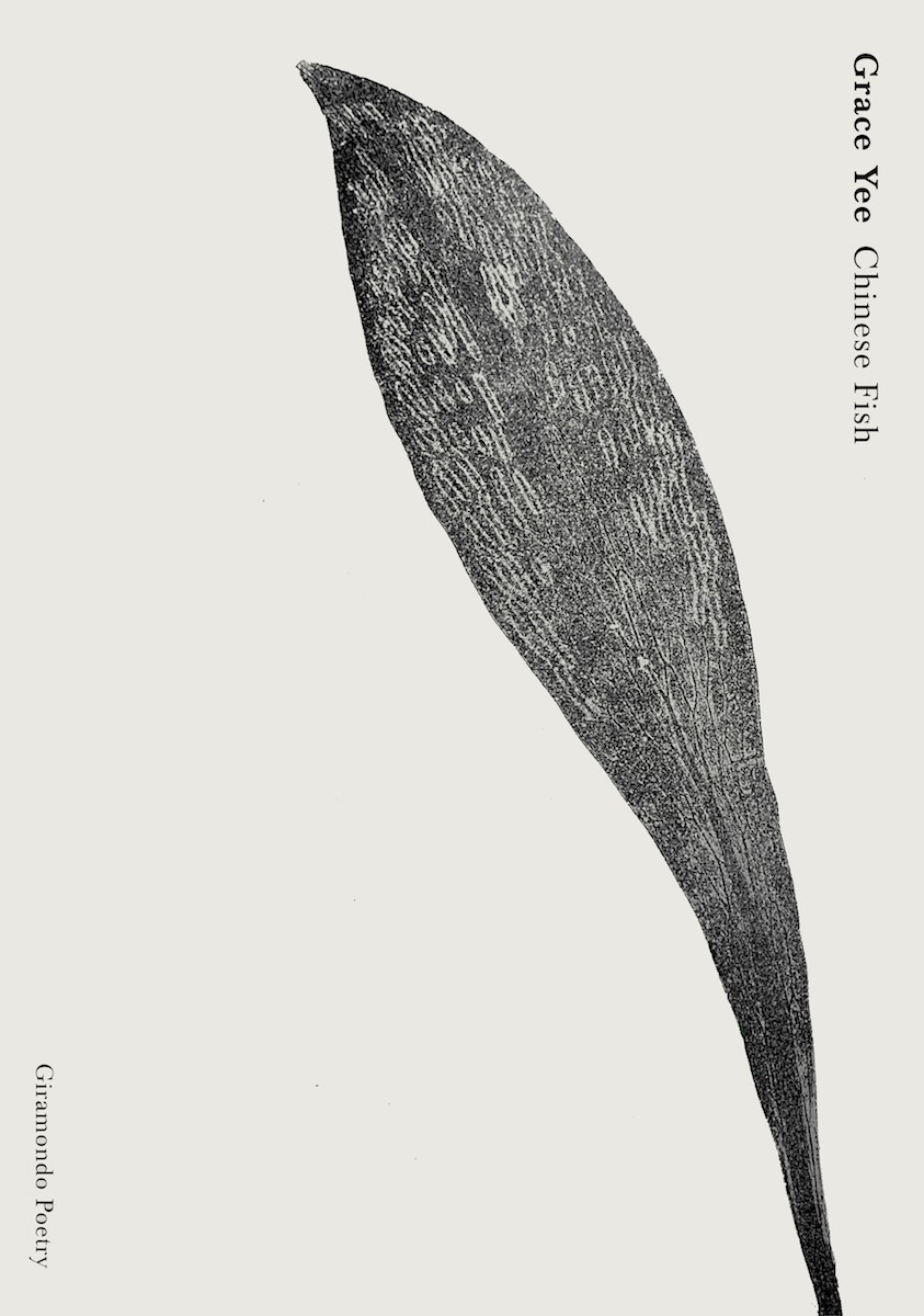 A monoprint of a slender black petal or leaf on a book cover.