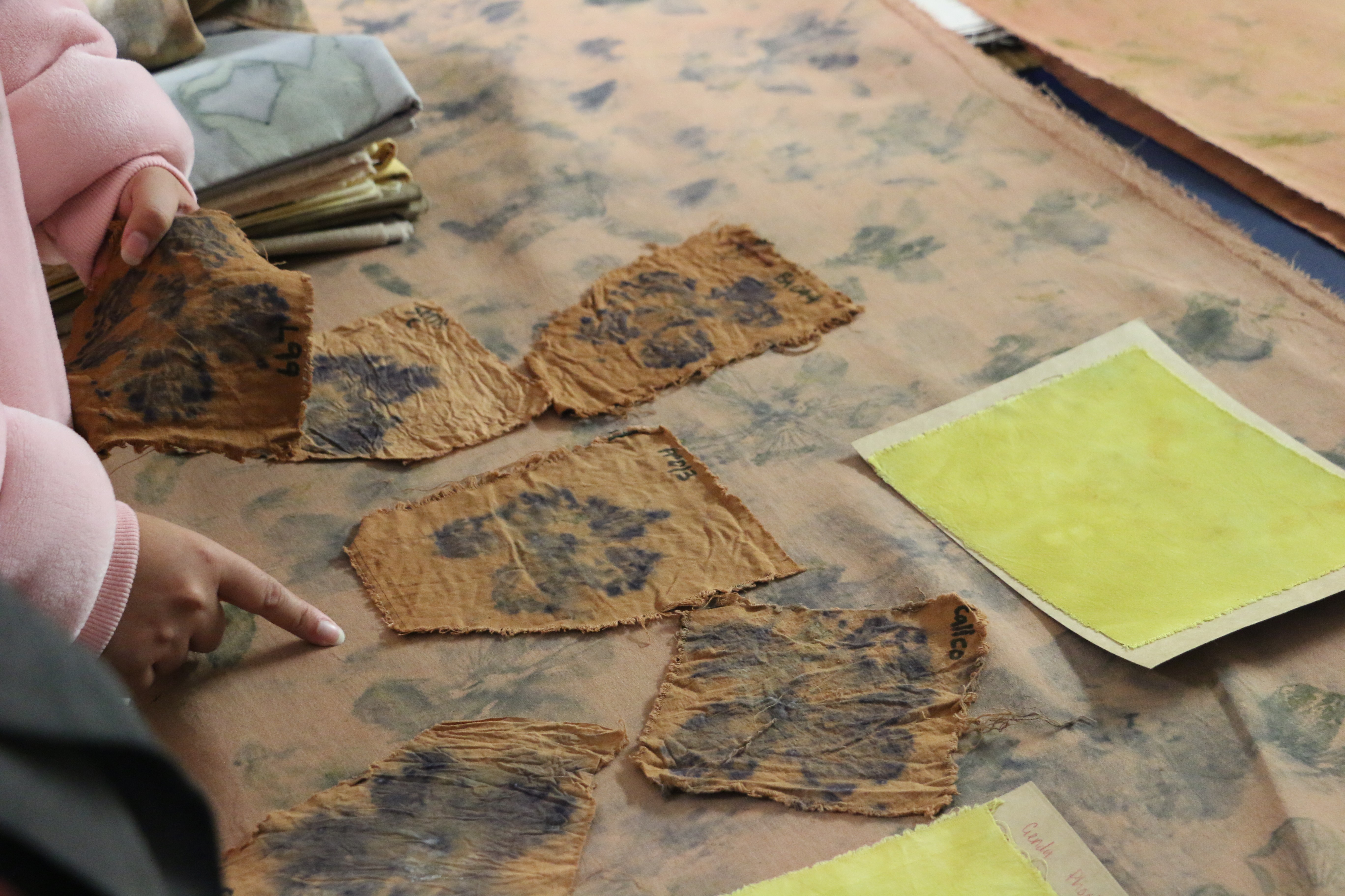 Layout of different fabrics