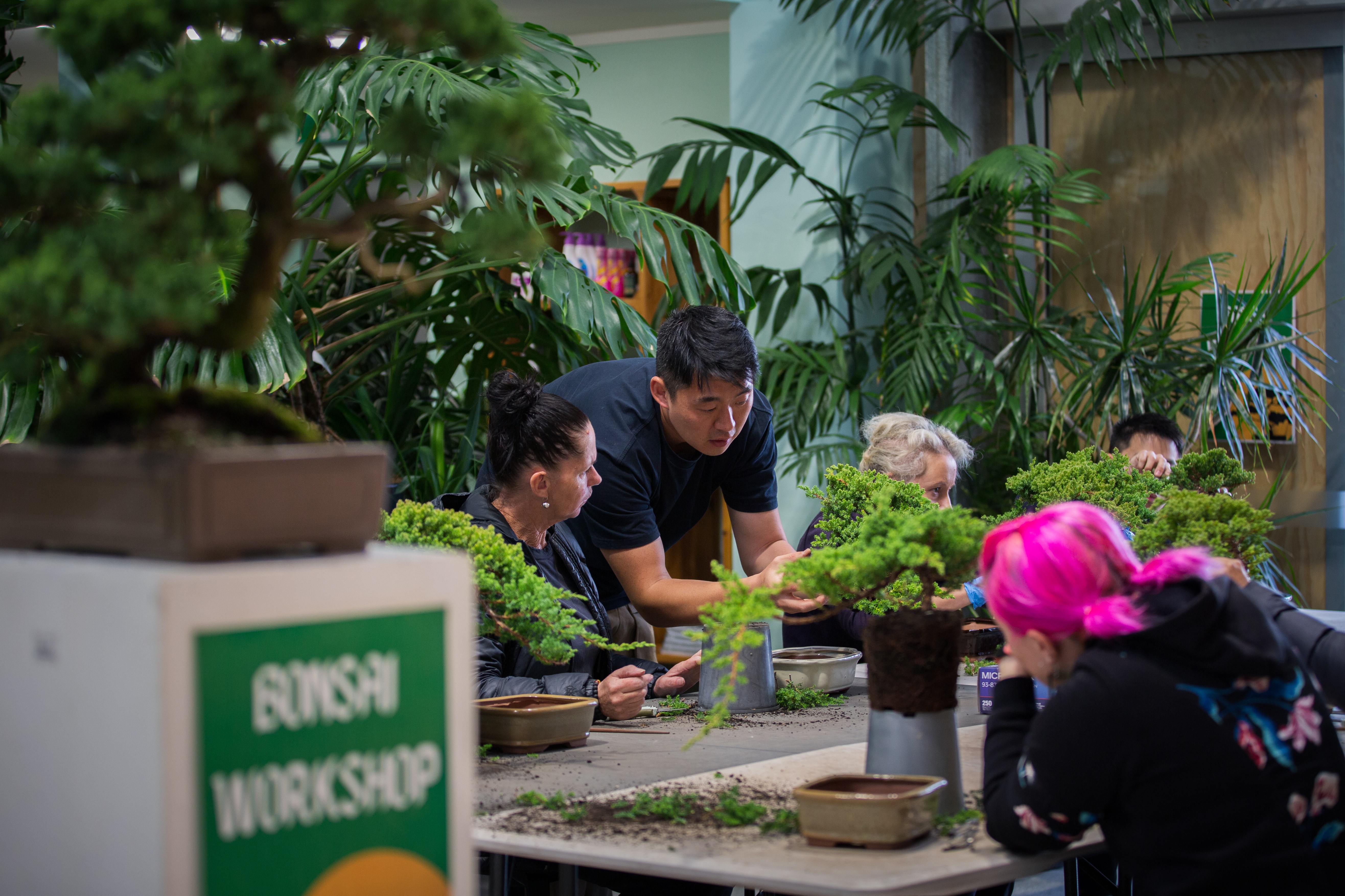 A man crouches down to demontrate bonsai to a seated group in a plant-filled room