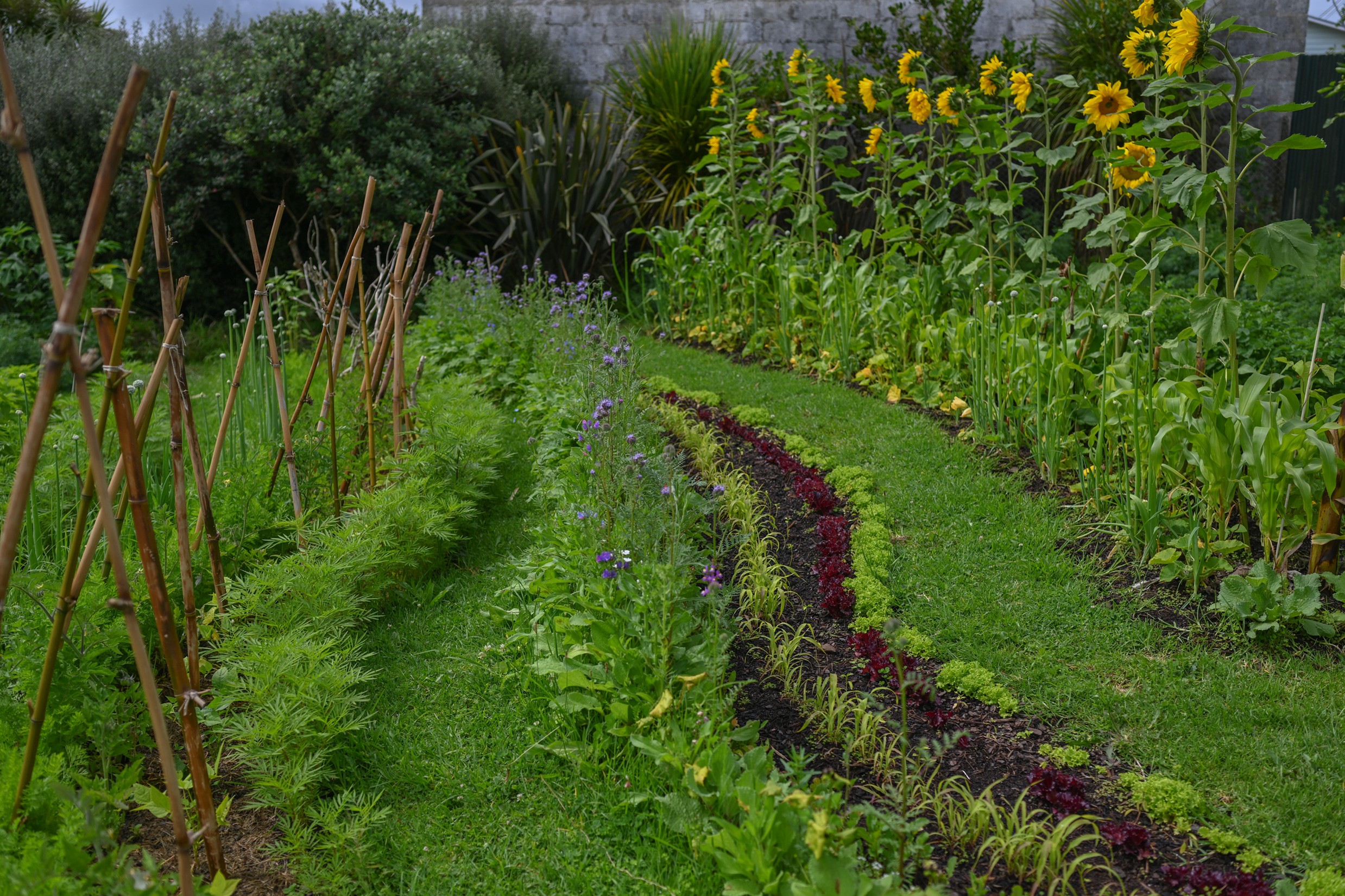 A lush garden planted along the land's natural contours