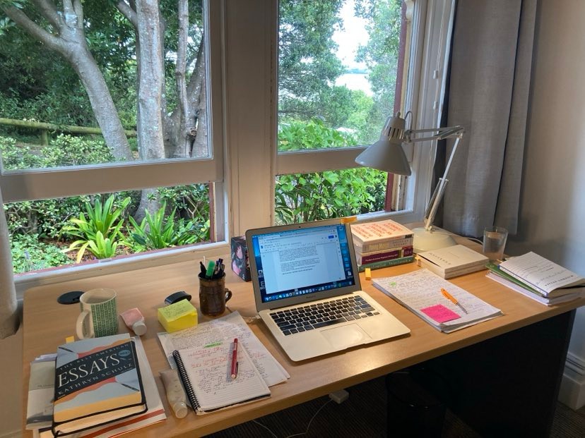 The view of a garden through a window and a desk with books, papers, and a laptop