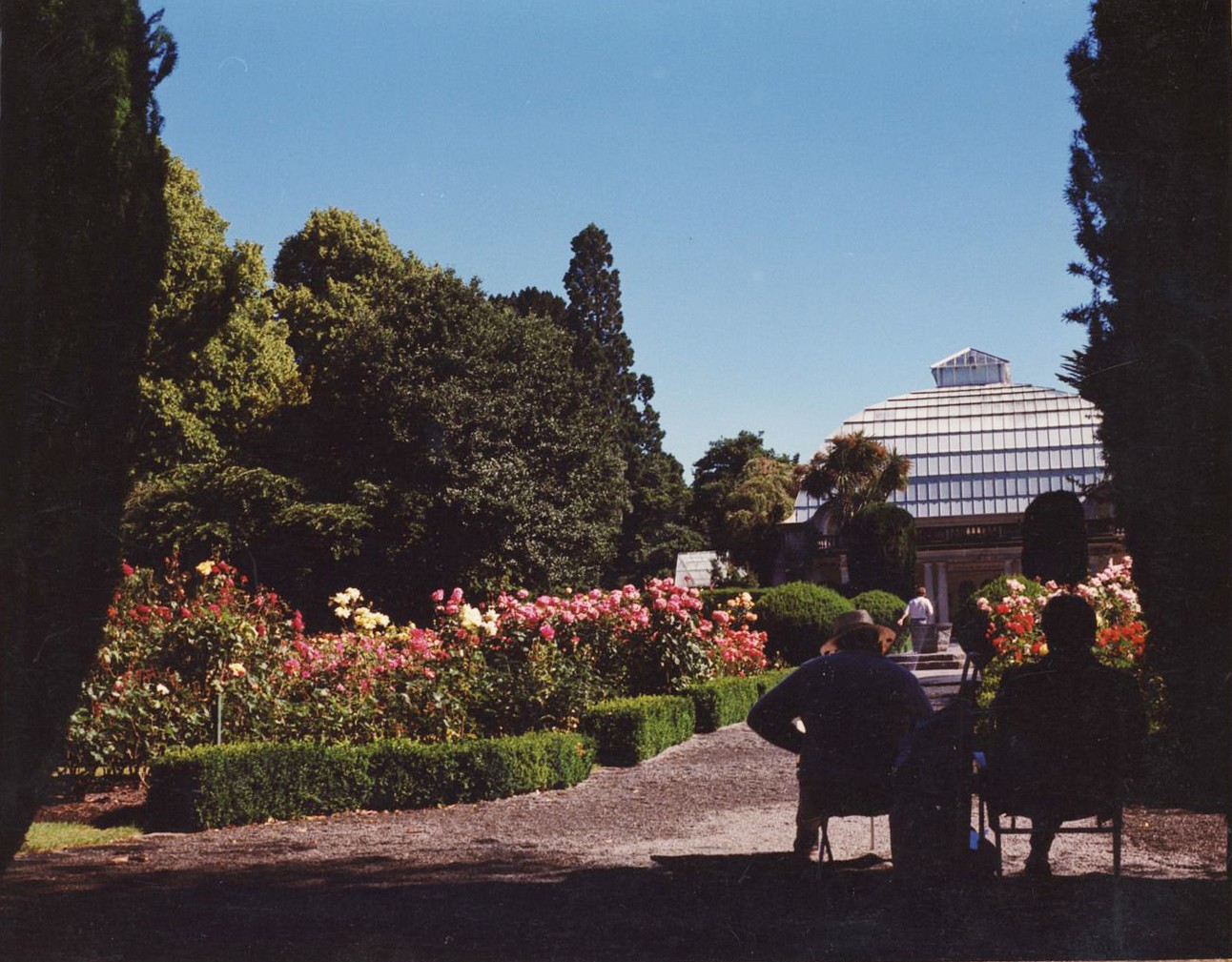 A view of the Christchurch rose gardens with a greenhouse in the background and a crisp blue sky. Two men in shadow sit in the foreground.