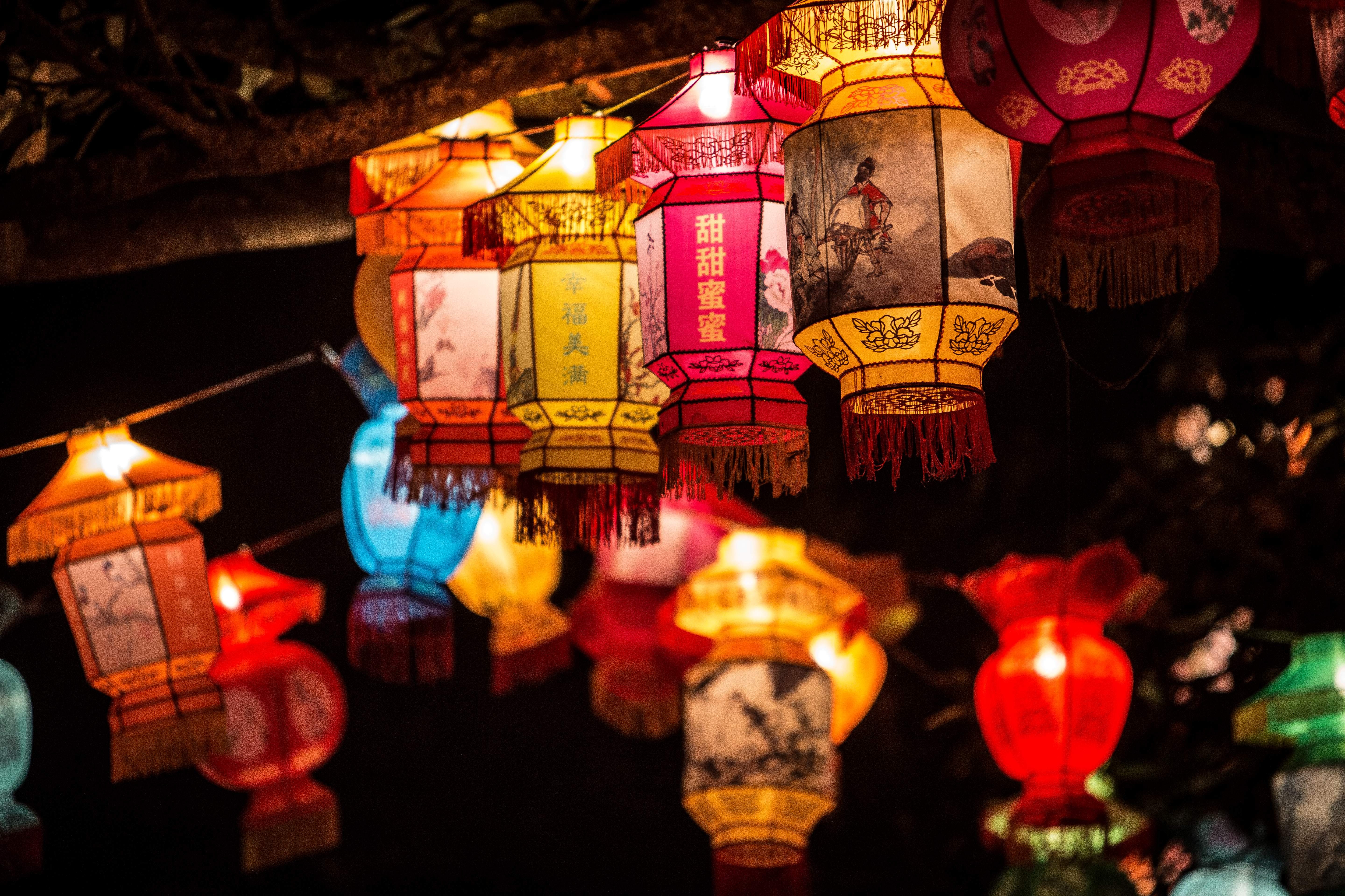 Strings of multi-coloured lanterns tied to trees