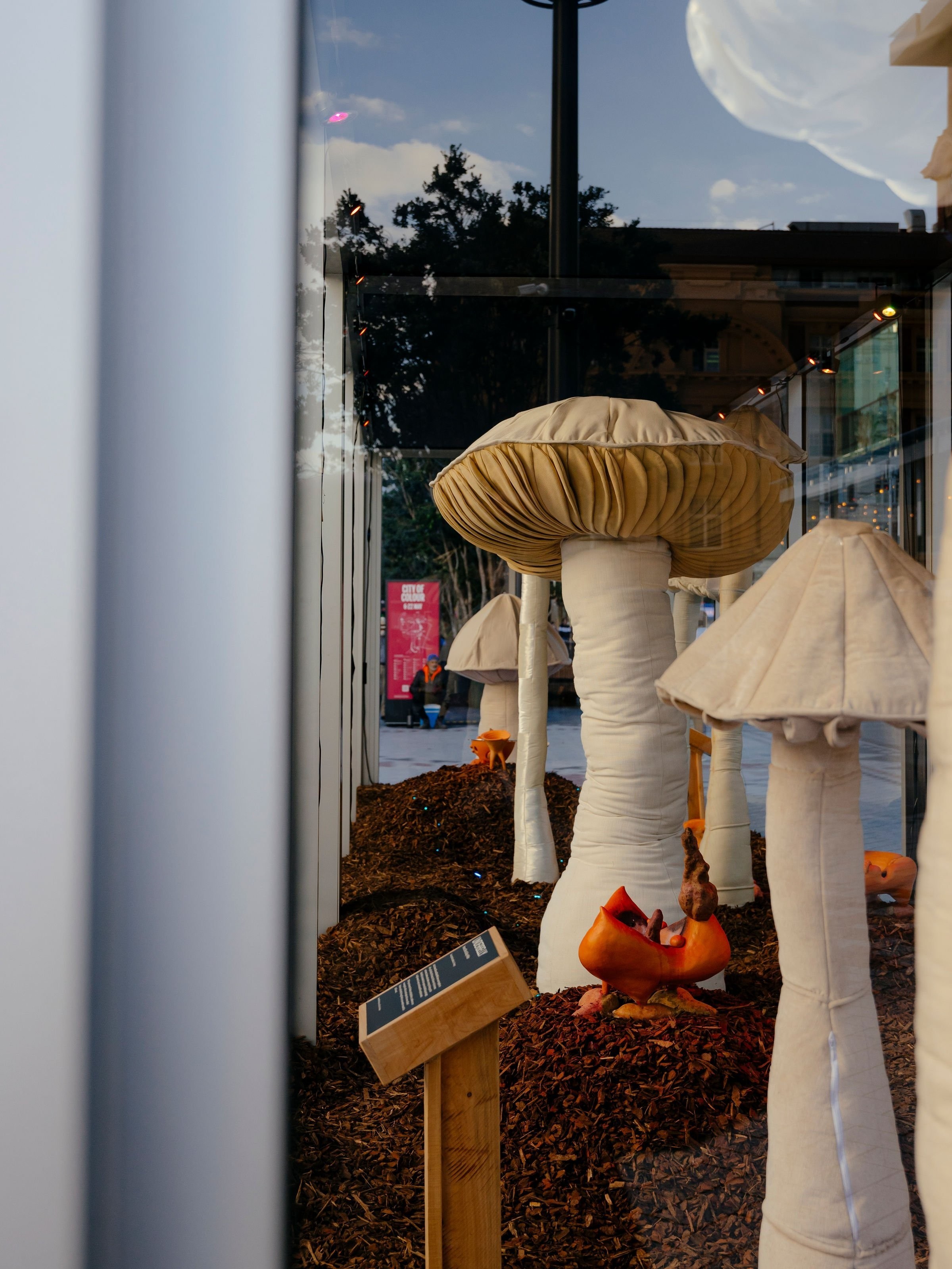 A close up of mushrooms in a glass case