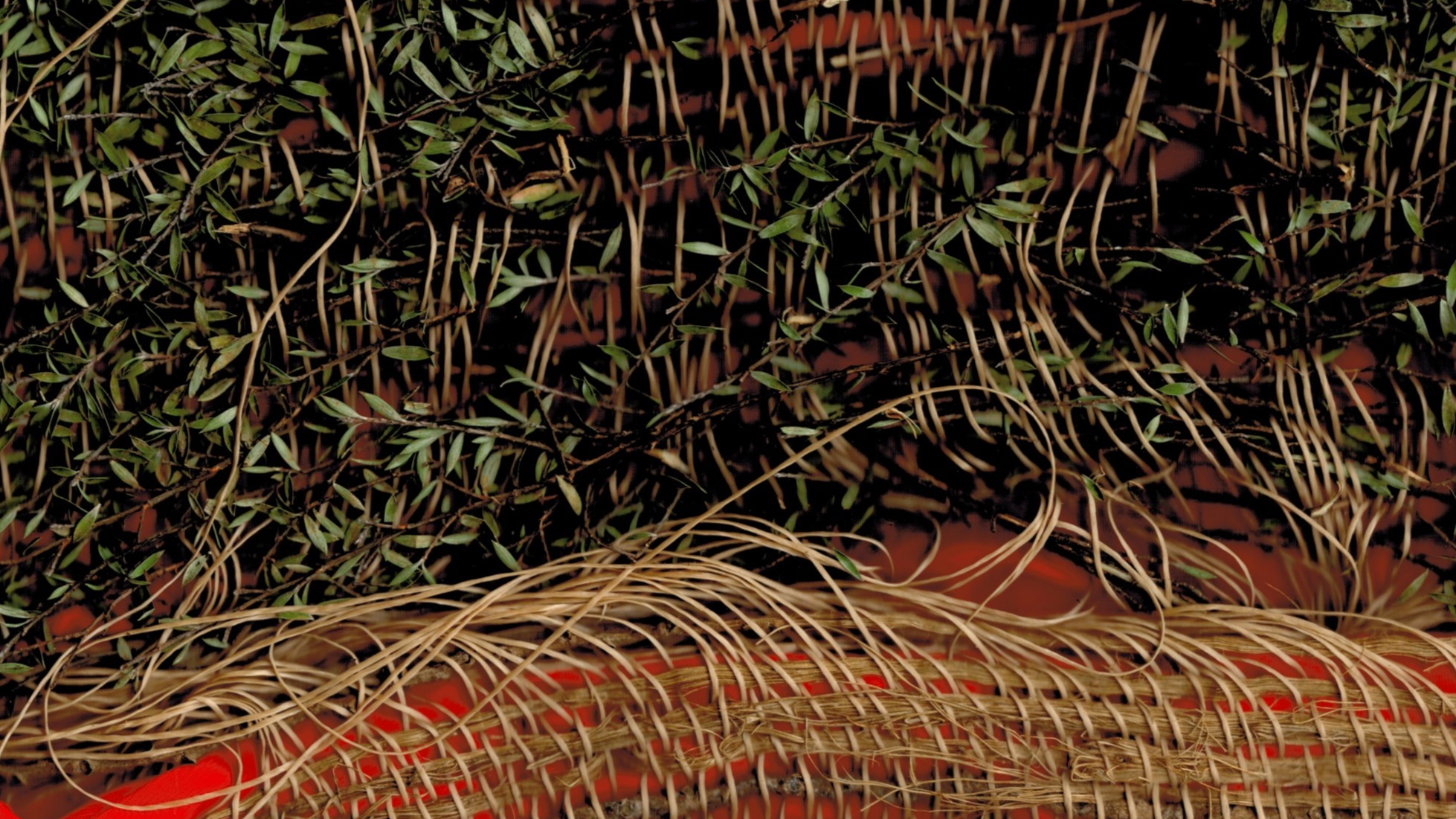 Close-up shot of a woven artwork showing leaves and bark