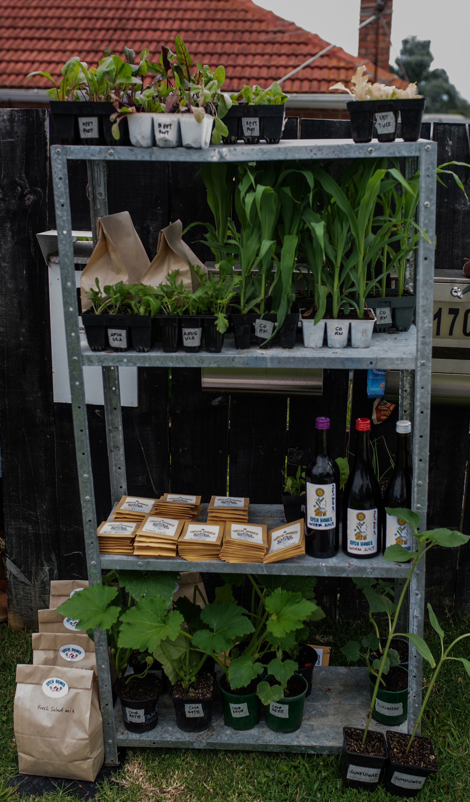 Various produce and seedlings placed in a steel framed shelf