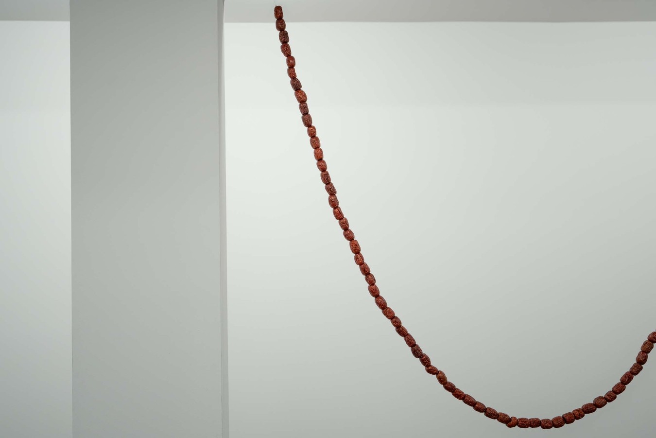 A long chain of jujubes hangs from the ceiling of a gallery.