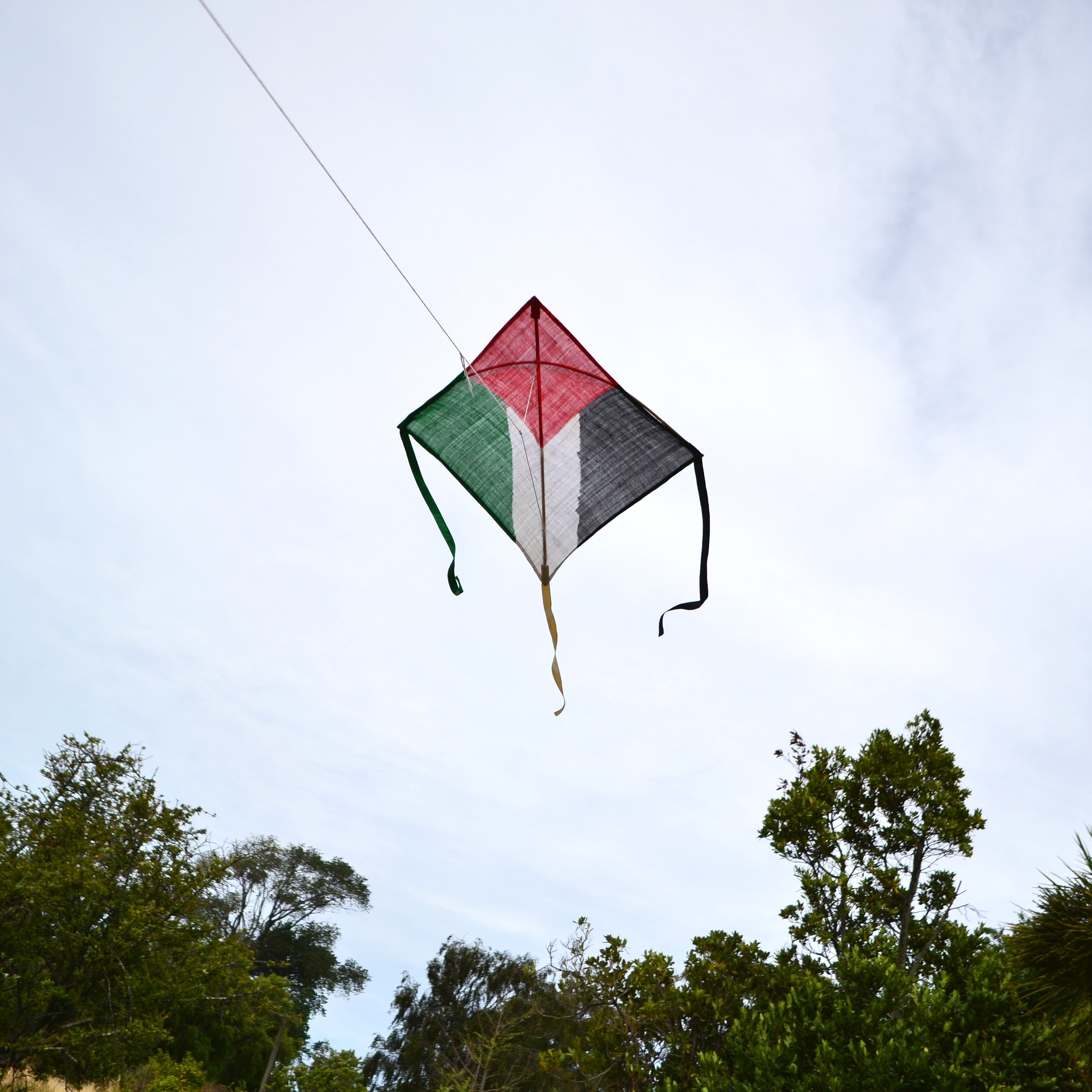 Kite painted like the Palestinian flag, flying against the sky.