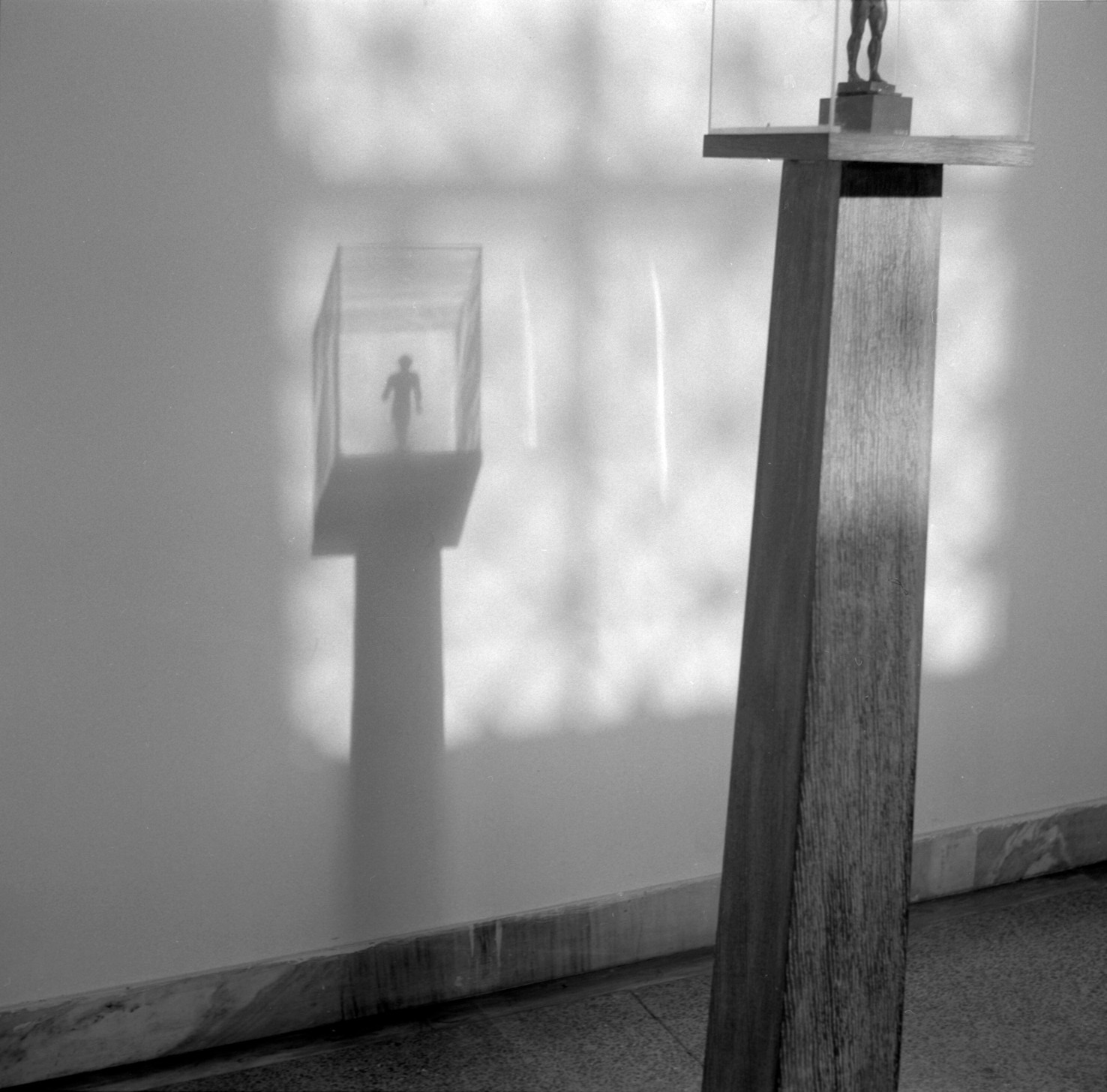 A black and white photograph of a shadow of a figure in a glass case at a museum.