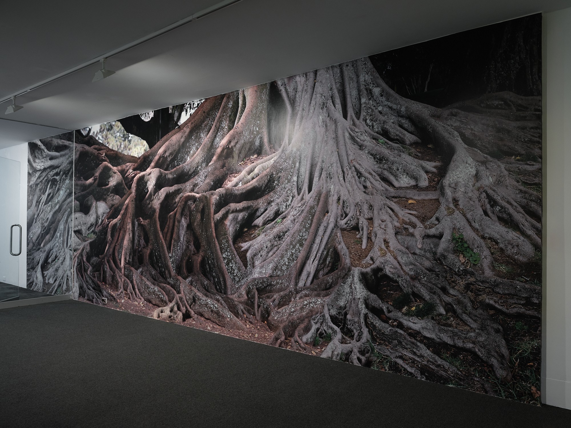 A large silvery photo of tree roots stretches from floor to ceiling in an art gallery.