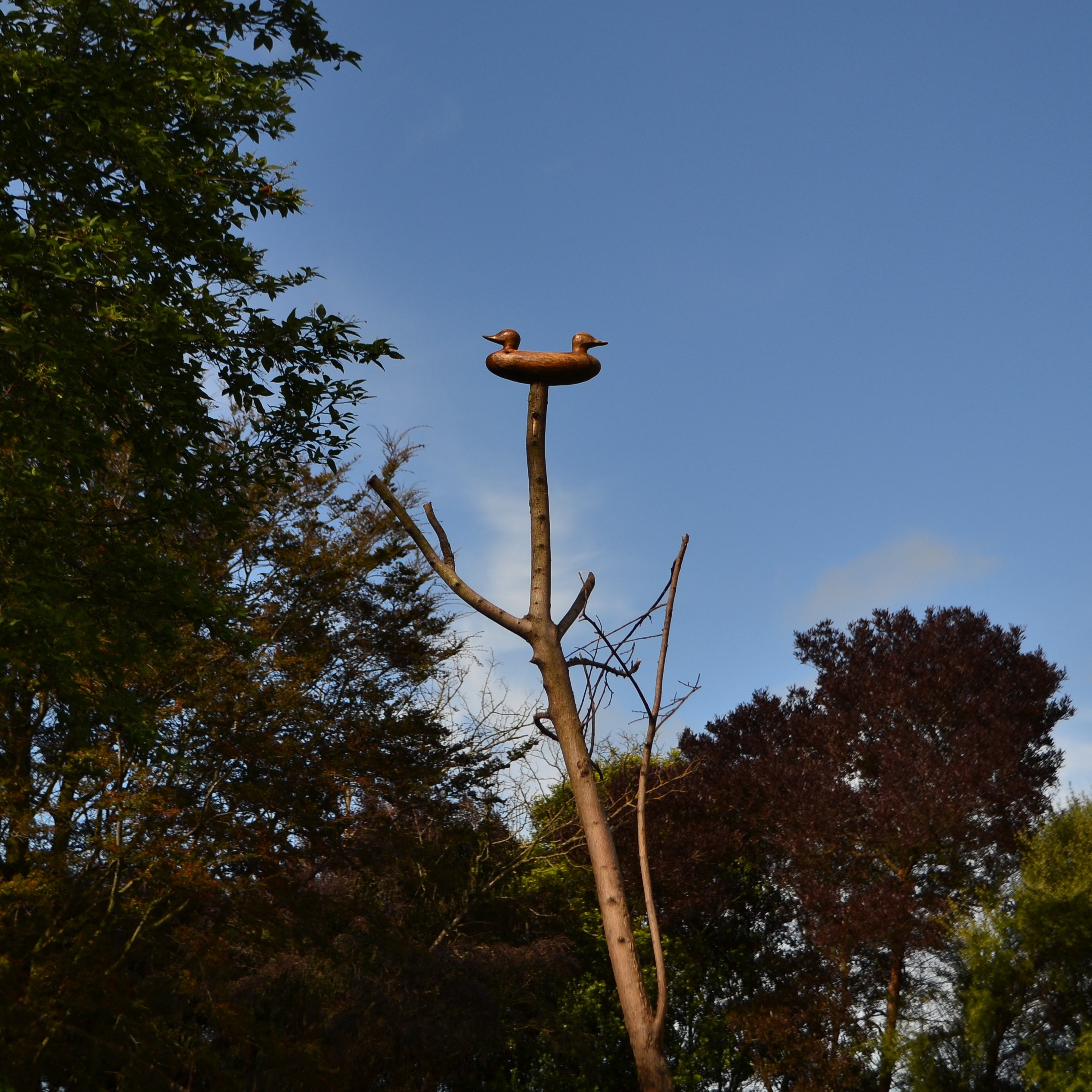 A duck with two heads atop a branch, photographed against the sky.