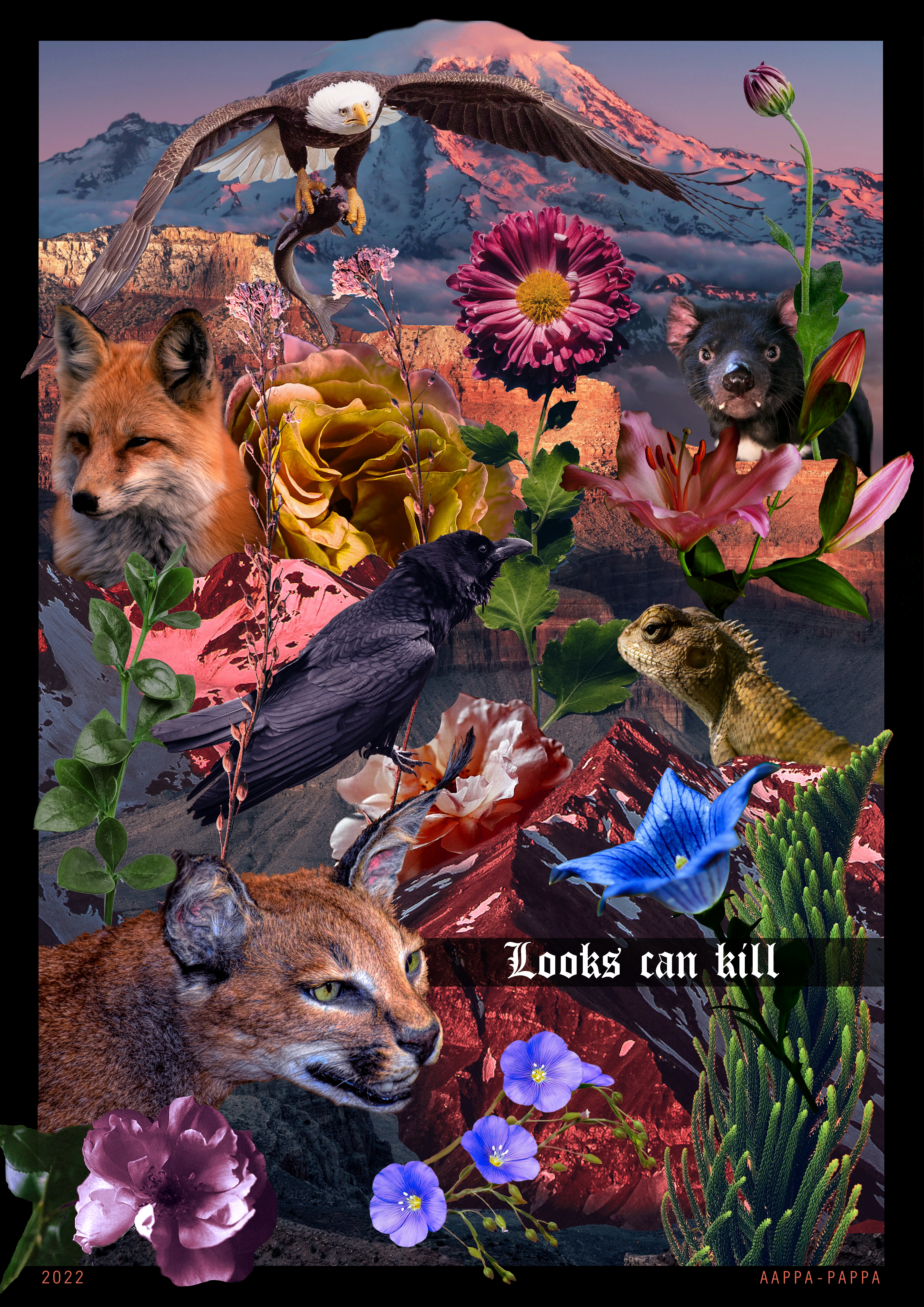 A collage of animals and plants in a desert landscape