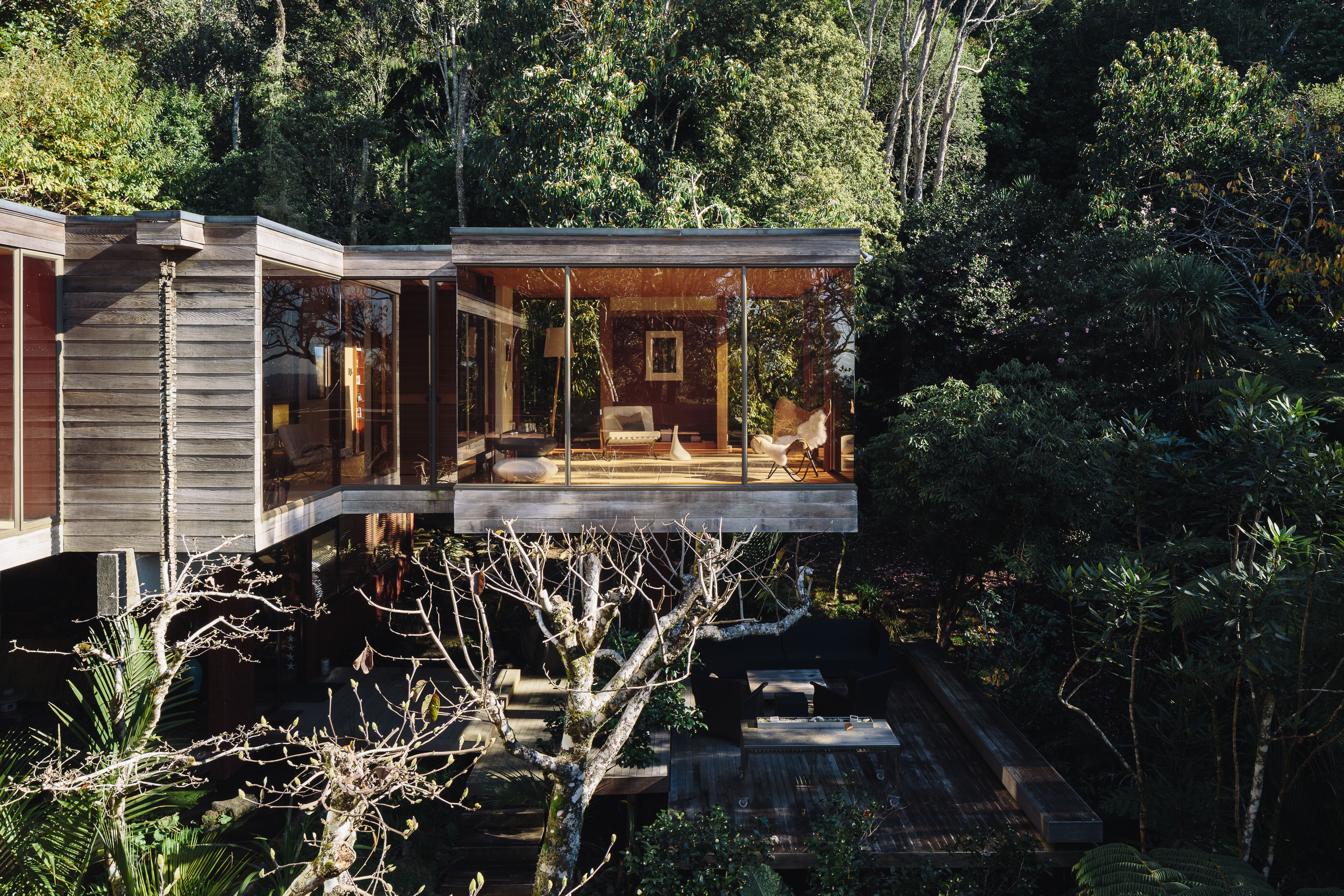 A house with glass walls in amongst a dense forest