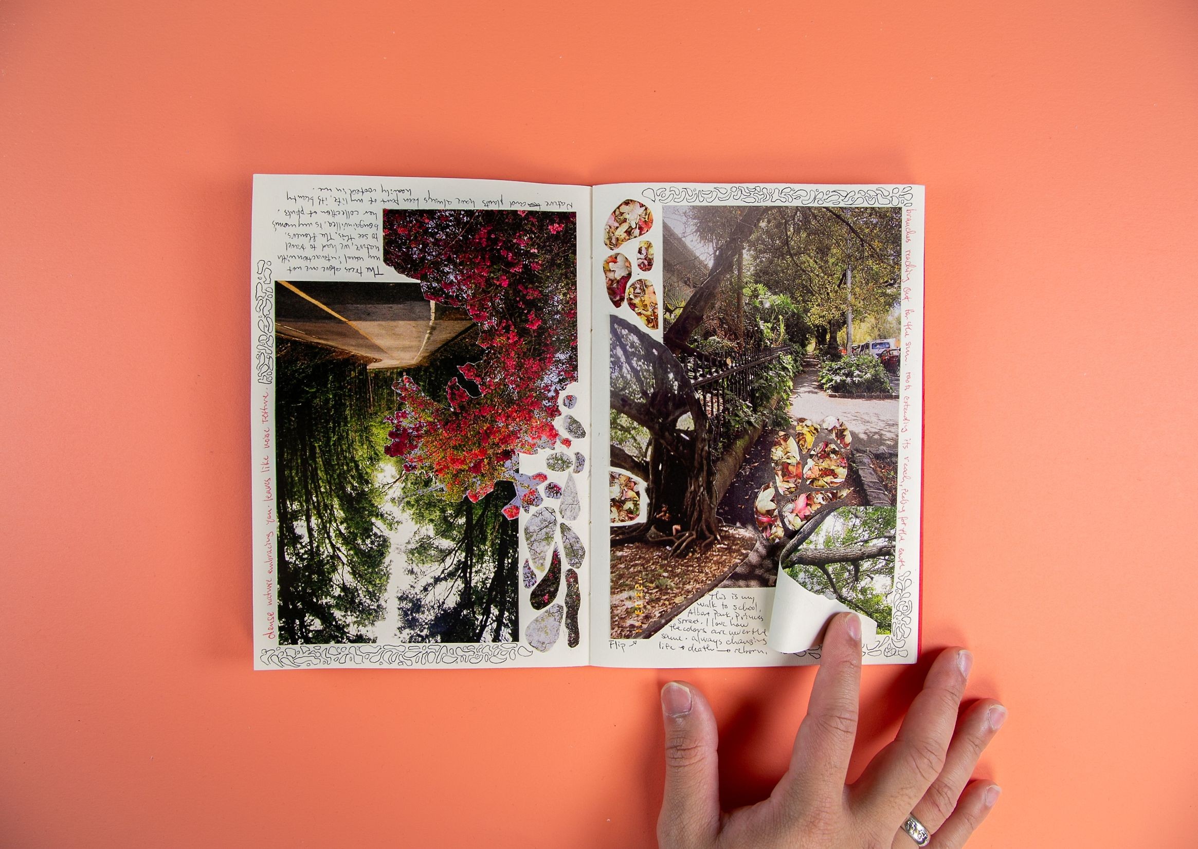 Intricate collages of nature – one collage contains photos from Manila, the other from Tāmaki Makaurau - both images have handwritten notes scribbled around them