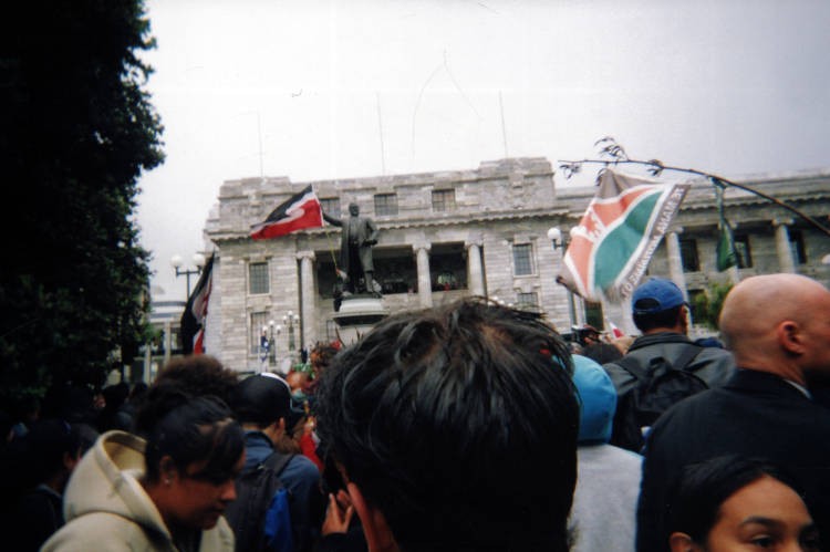 Photo from the middle of a protest in front of NZ Parliament, with the Tino Rangatiratanga flag visible.