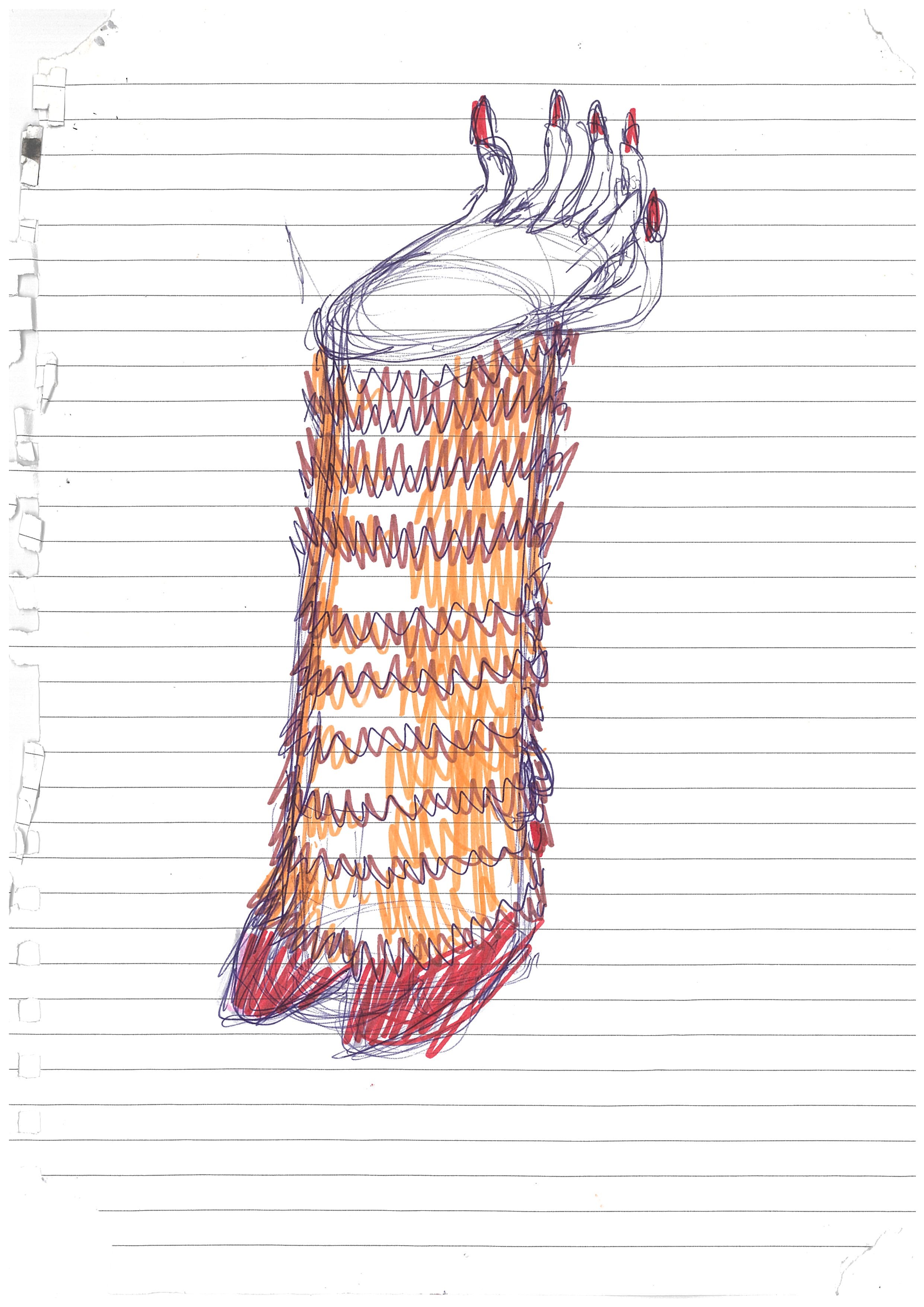 sketch of a lobster claw leg