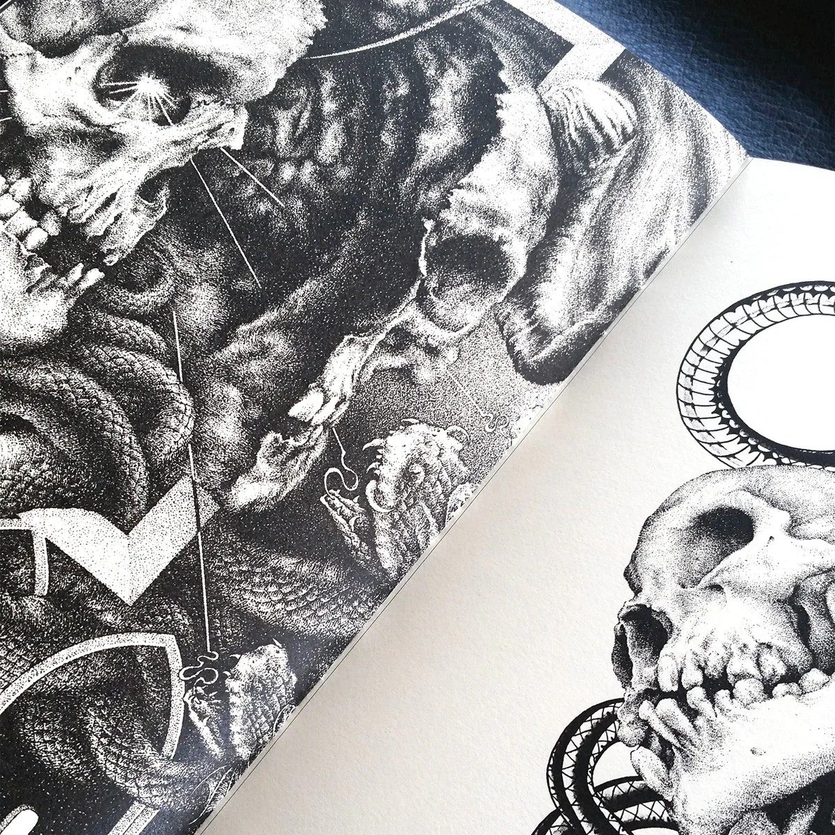 A page spread of detailed black and white line drawing of skulls and snakes. 