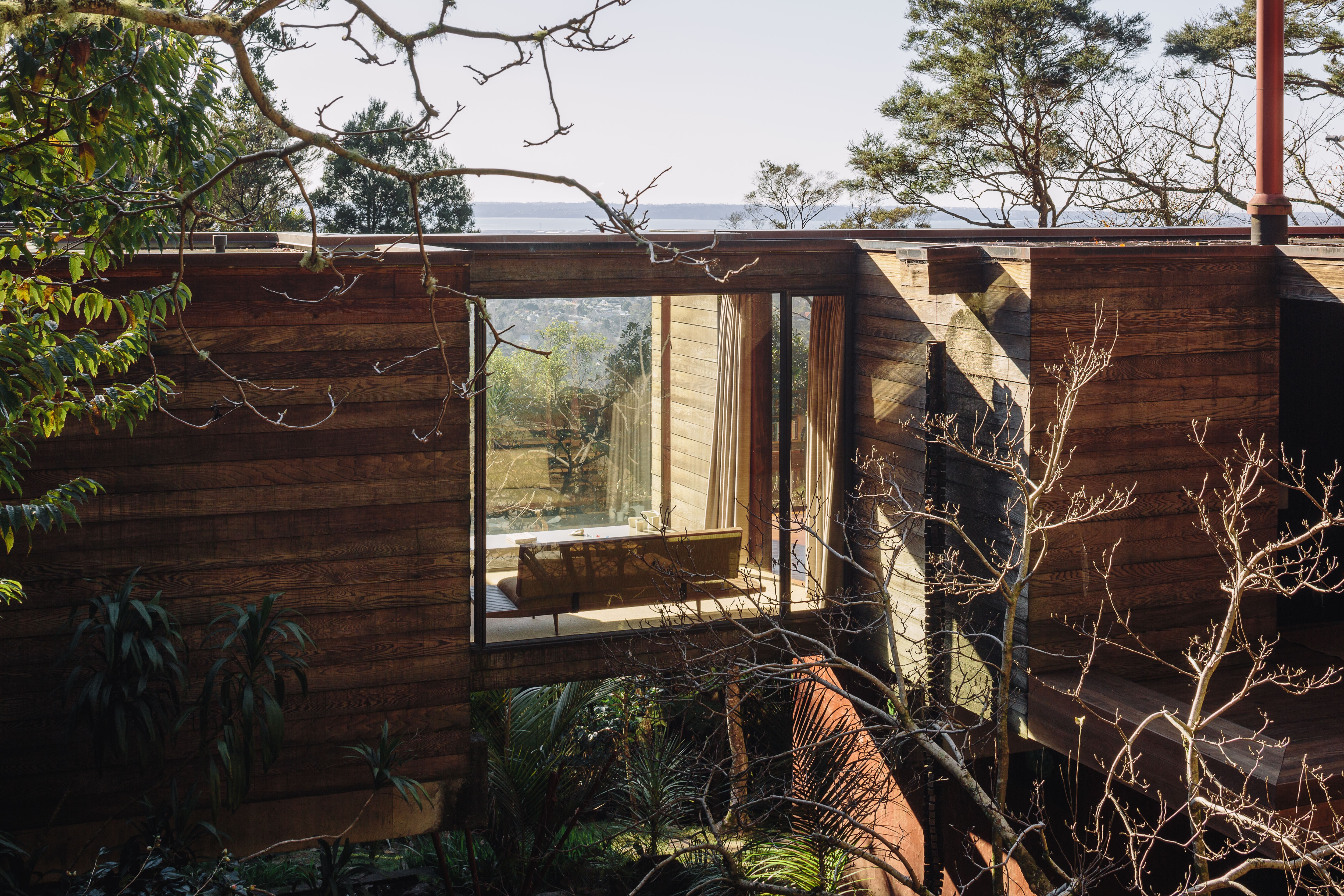 Kanuka branches frame a view through a window into a light-filled space in the Brake House.