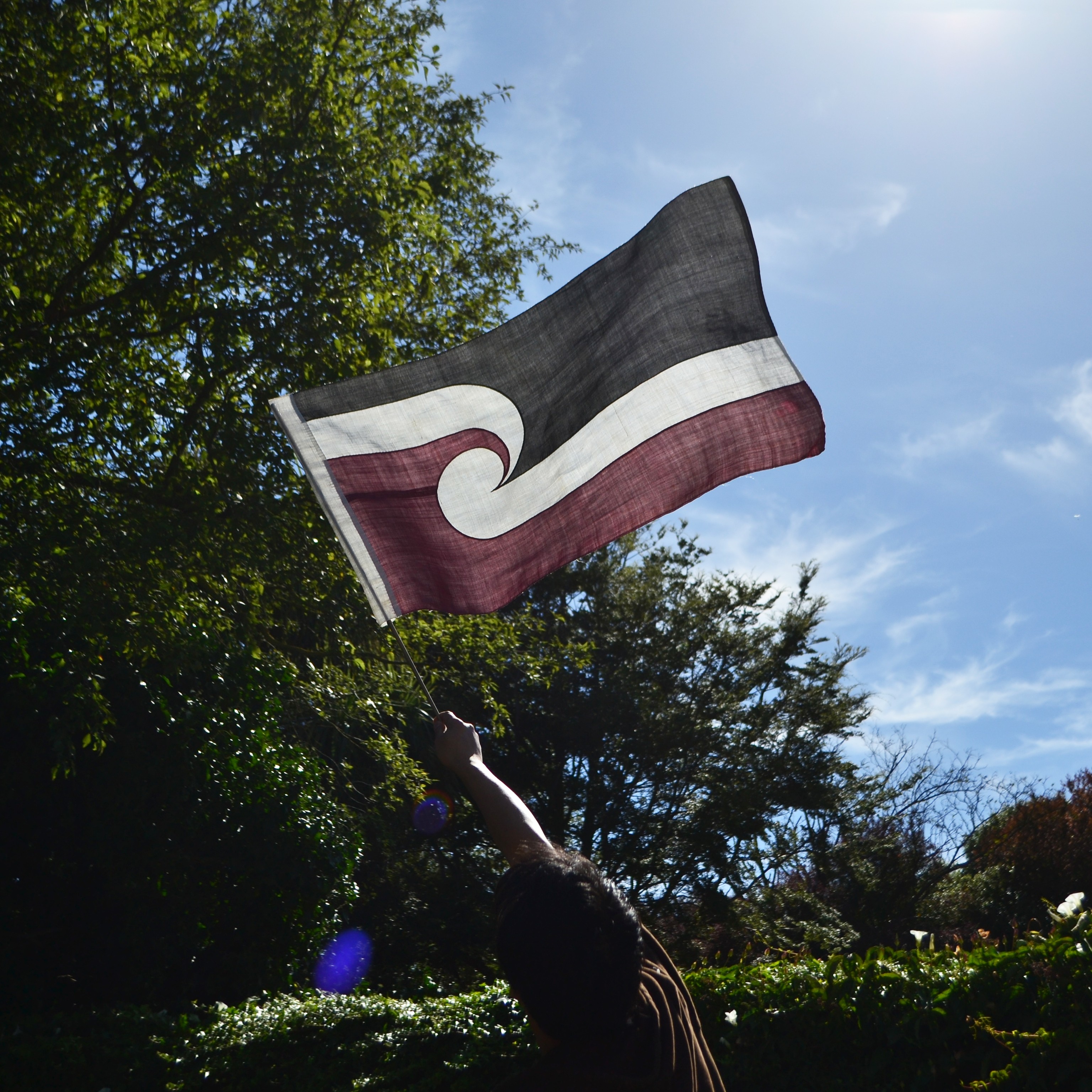 Tino Rangatiratanga flag being waved in the air outdoors.