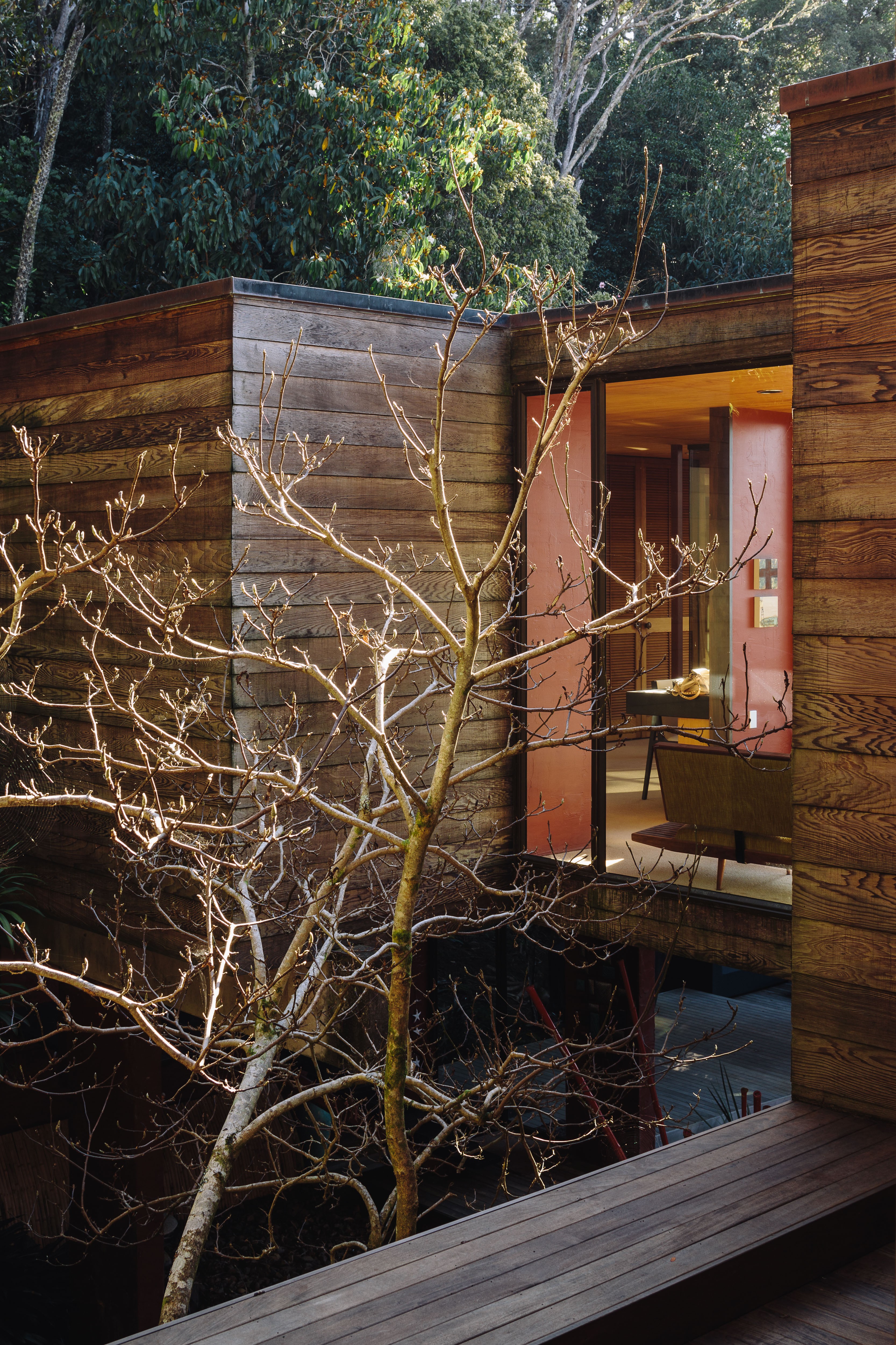 A house with wood exterior amidst a forest