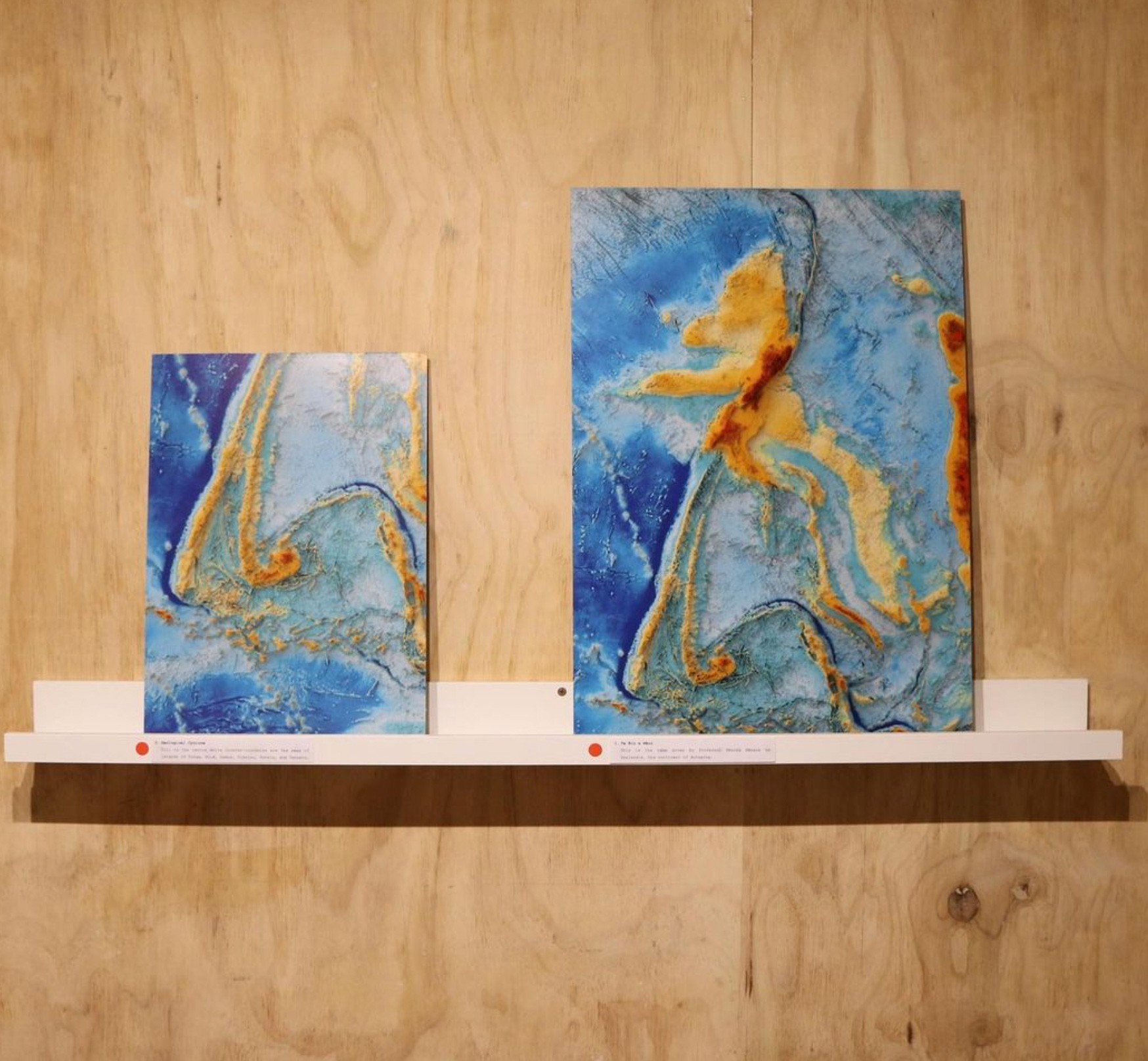 two artworks showing stylised maps of the sea floor