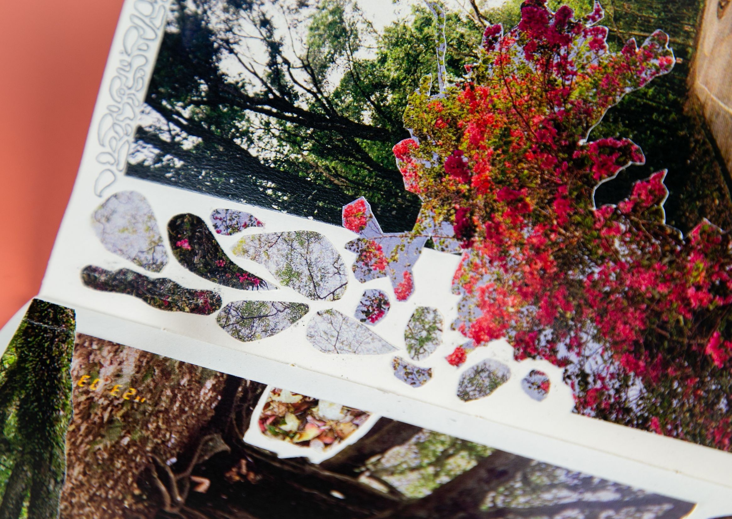 Zoom-in of collages of flowers and tree branches