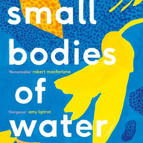 A book cover featuring blue dotted background with abstracted leaves in yellow and orange.