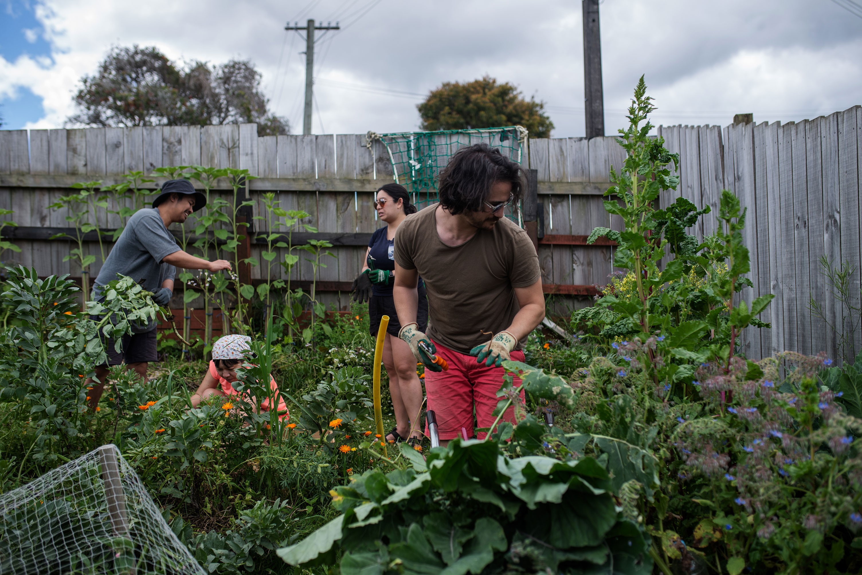 Three volunteer gardeners harvesting produce from a lush garden