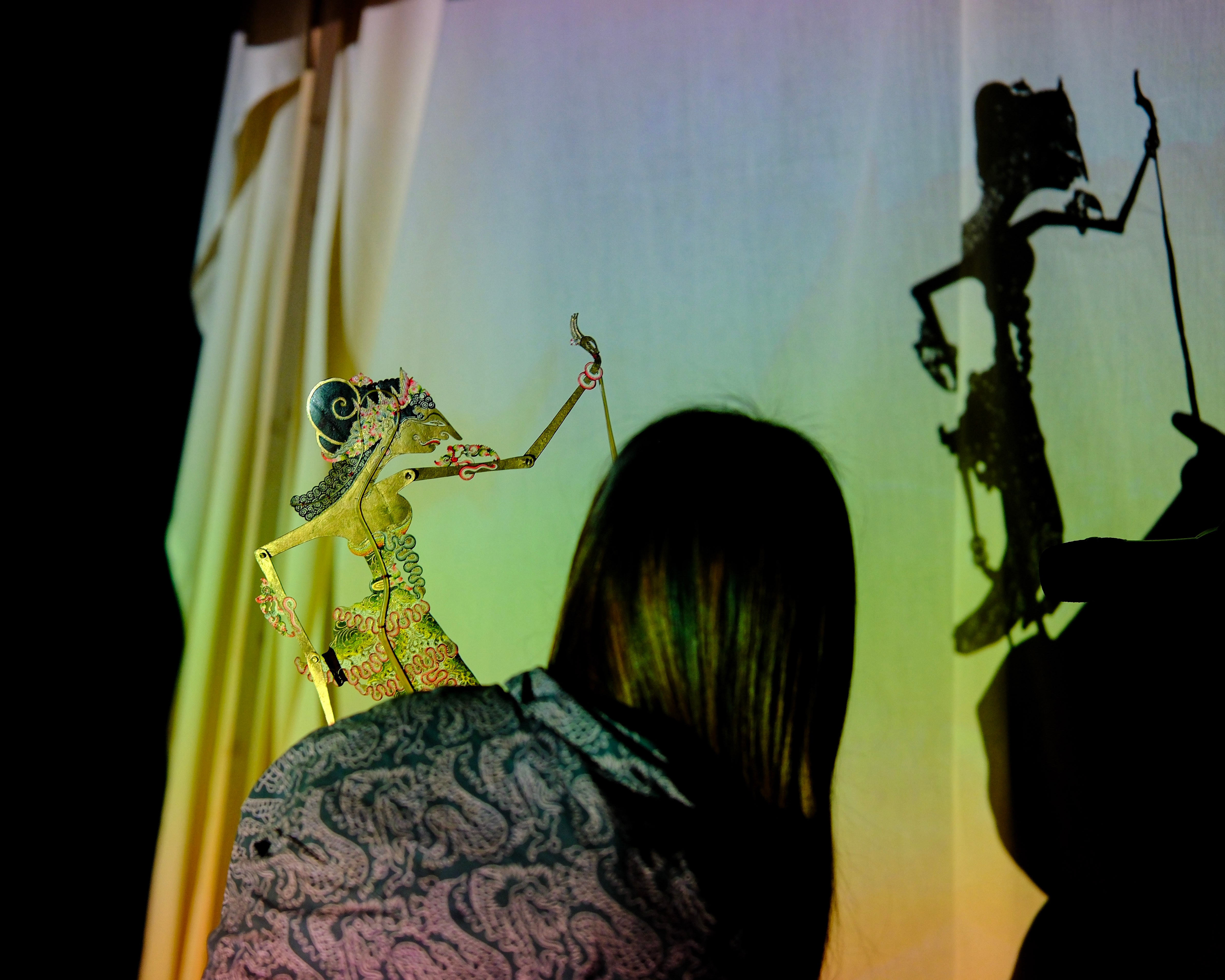 A person with long black hair faces a white sheet projected in colour. They hold up a traditional Indonesian shadow puppet.