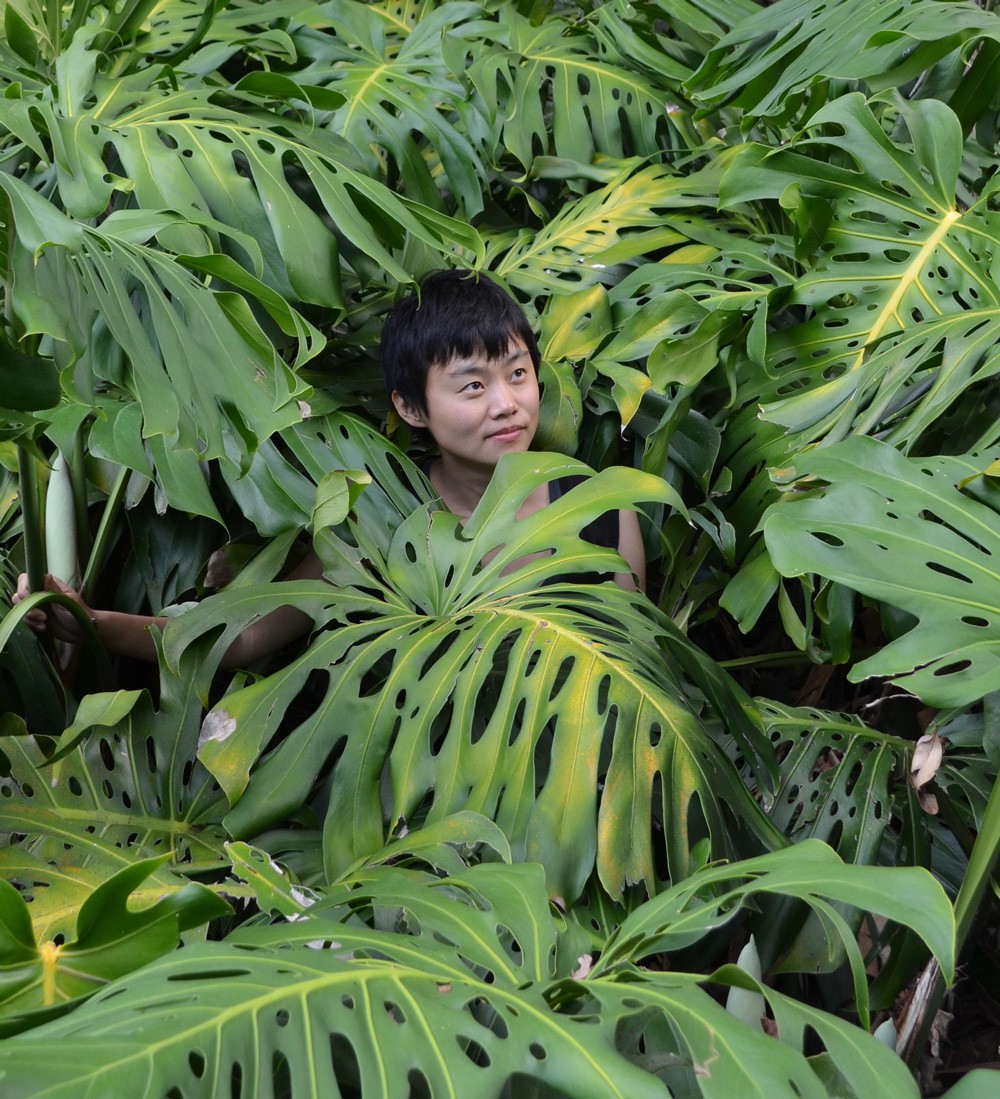 Short haired woman's head peers out through monstera leaves.