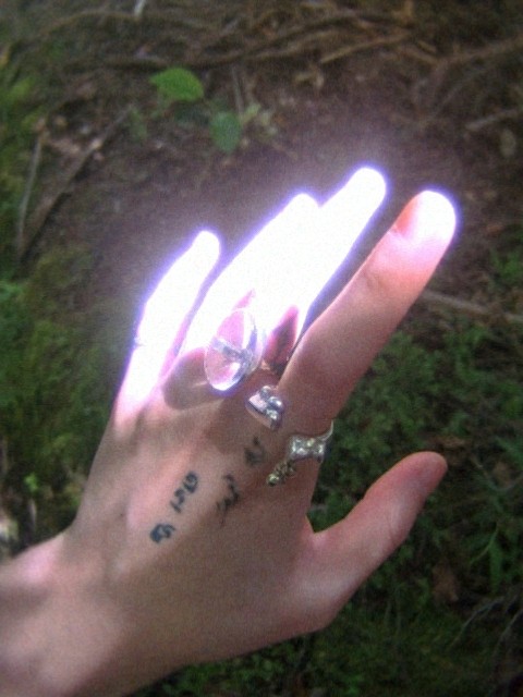a left hand with silver ring posing under the sun 